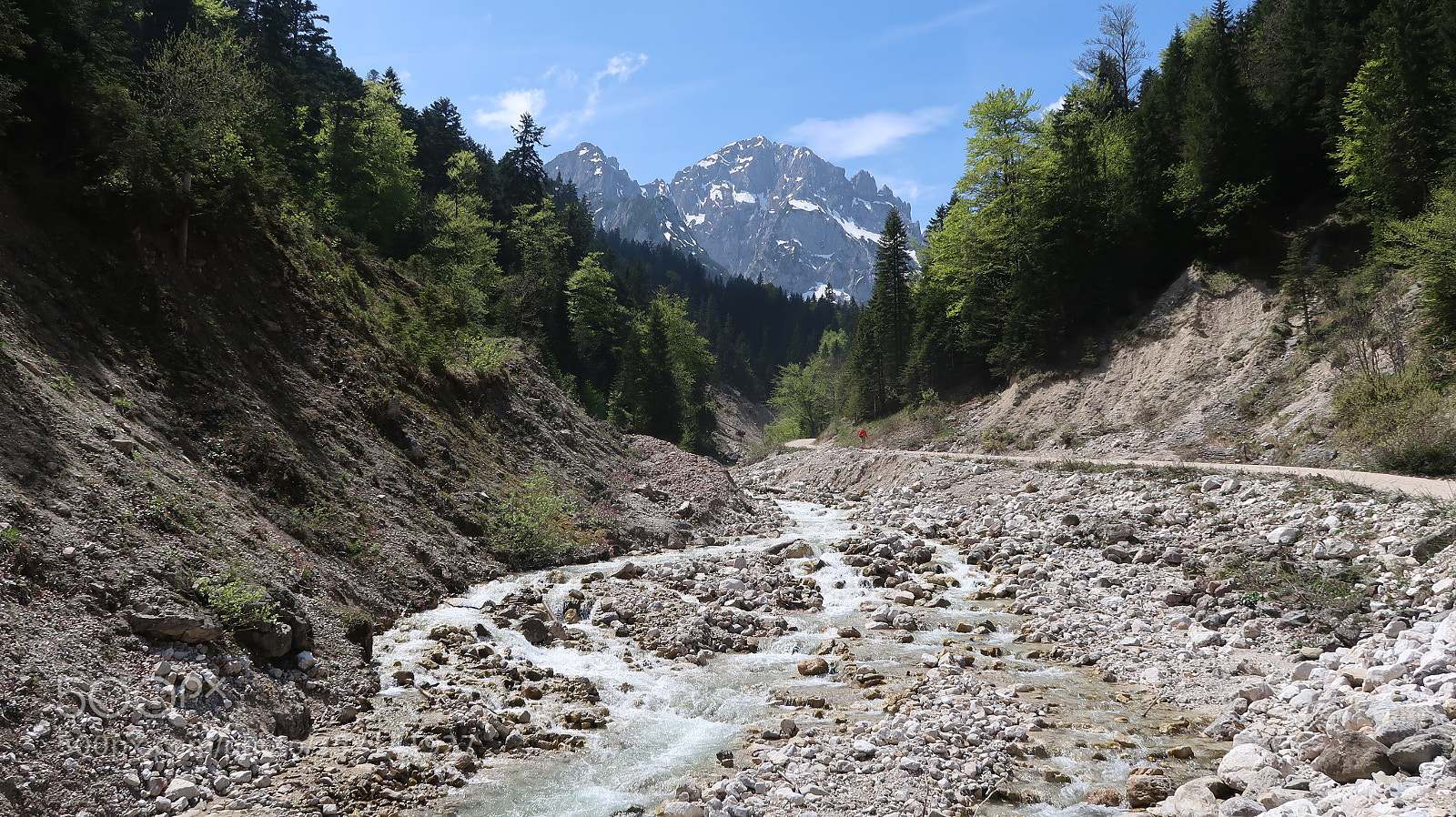 Canon PowerShot G7 X Mark II sample photo. Foggensee canon powershot gx photography