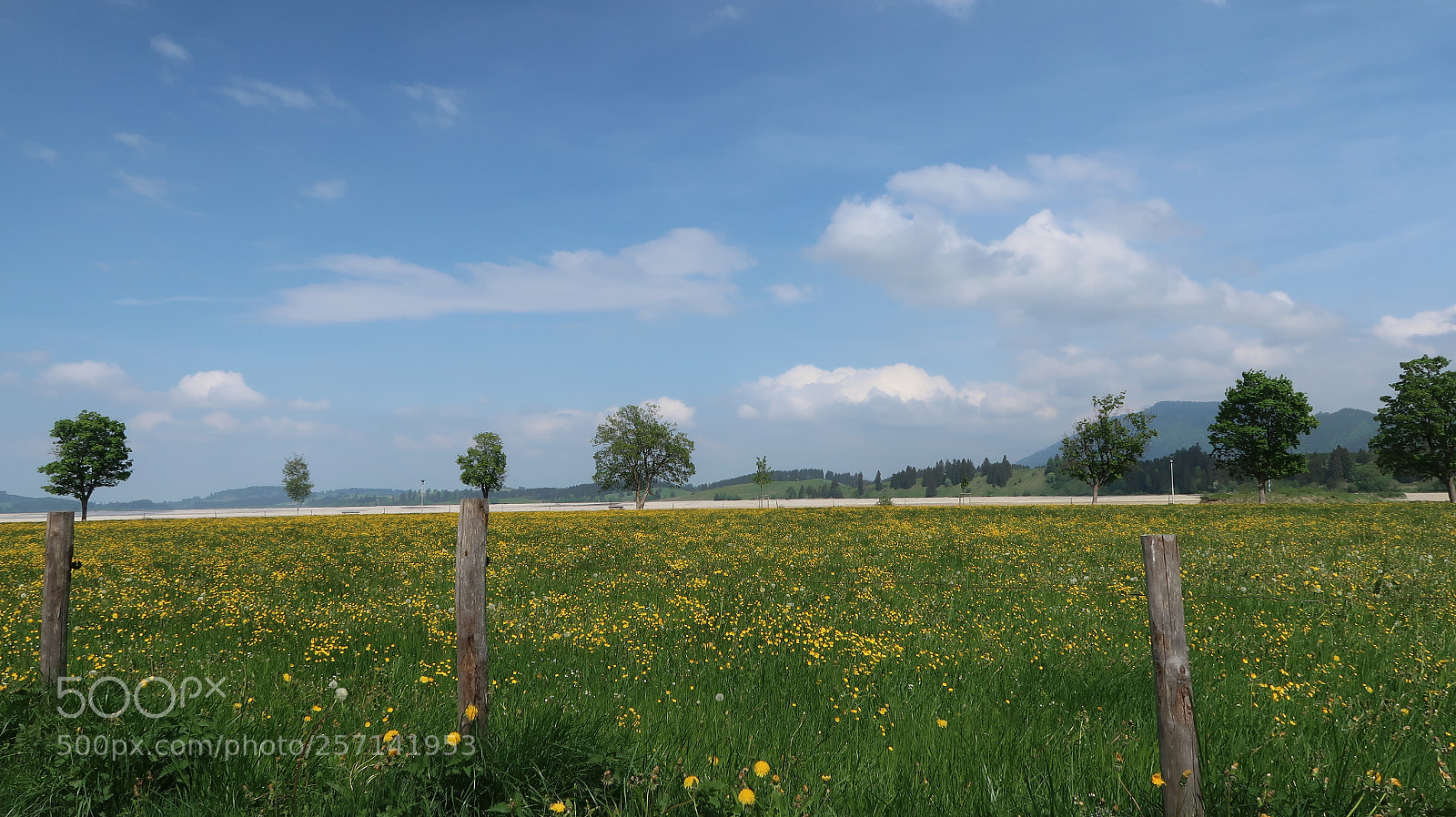 Canon PowerShot G7 X Mark II sample photo. Foggensee canon powershot gx photography