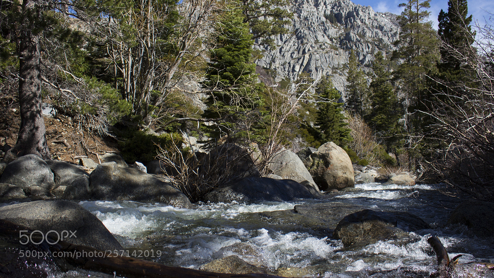 Canon EOS 700D (EOS Rebel T5i / EOS Kiss X7i) sample photo. Mg photography