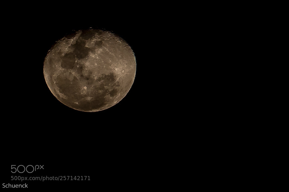 Canon EOS 70D sample photo. The moom photography