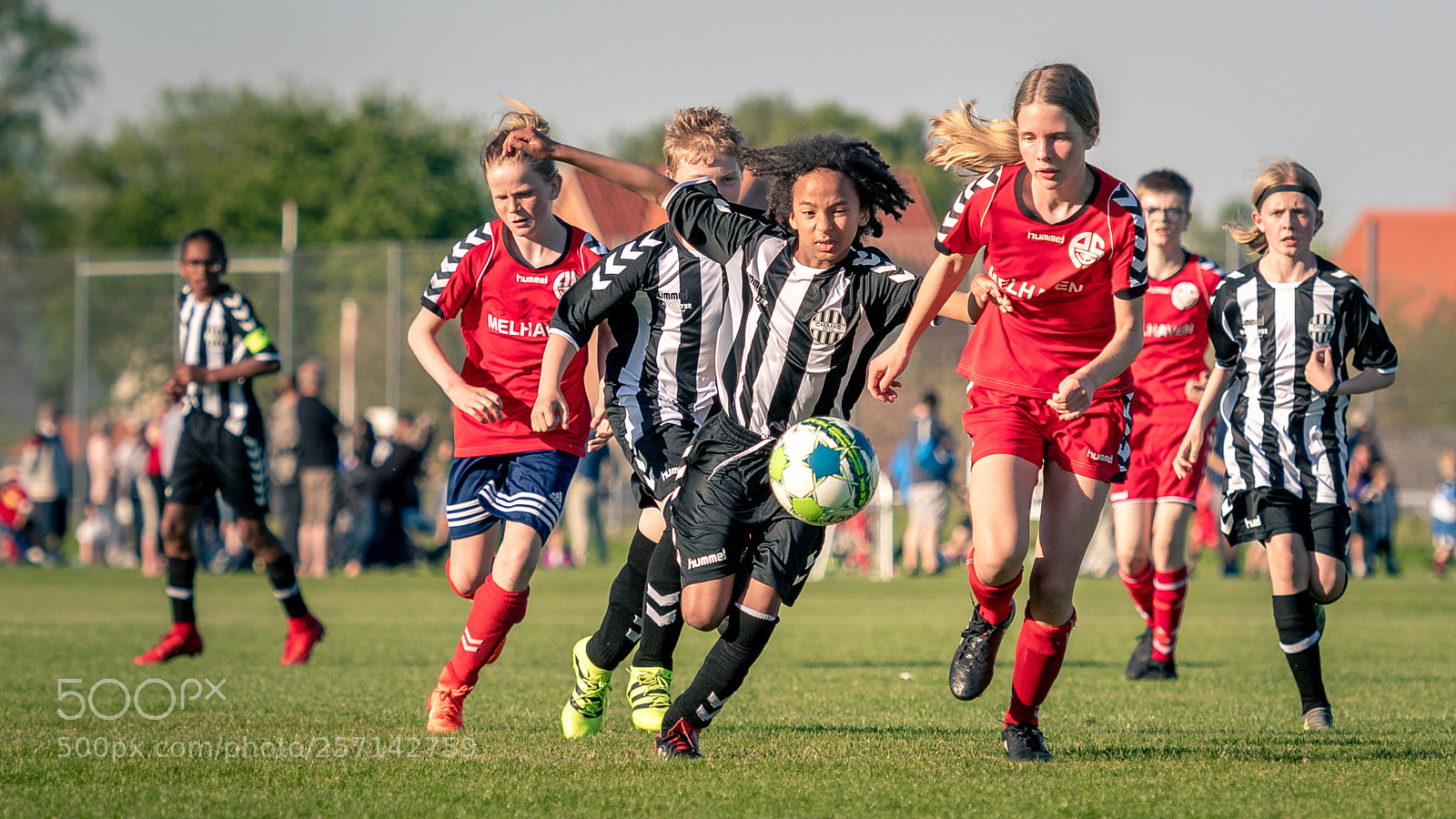 Nikon D500 sample photo. Fight for ball photography