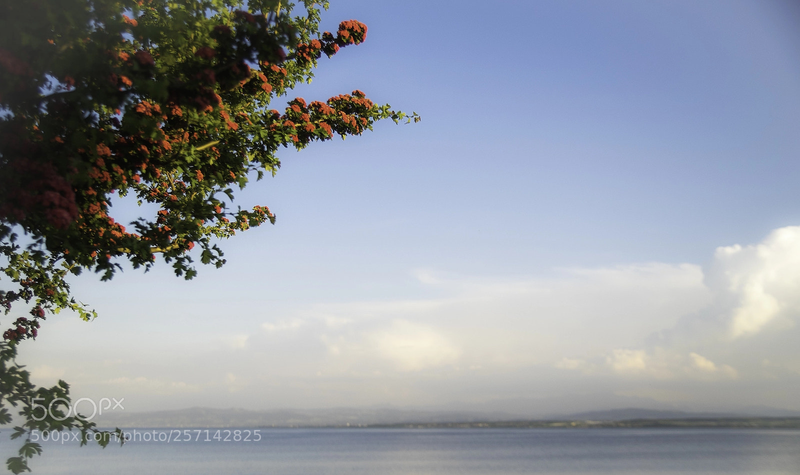 Fujifilm X-T1 sample photo. Farbkontraste photography