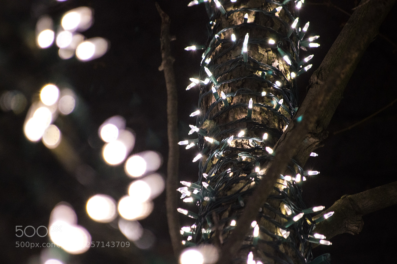 Nikon D3200 sample photo. Late christmas lights photography