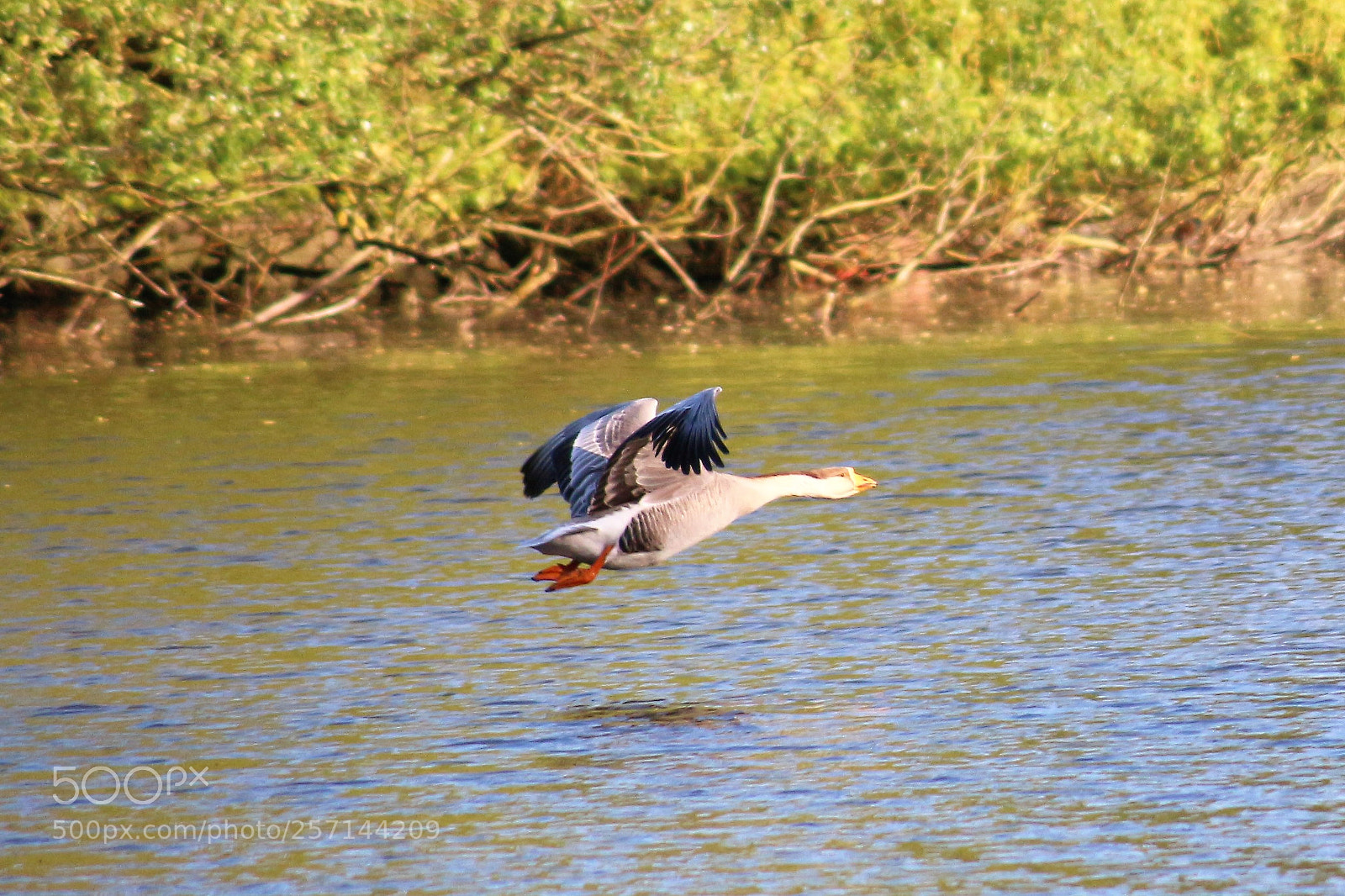 Canon EOS 100D (EOS Rebel SL1 / EOS Kiss X7) sample photo. A flight photography