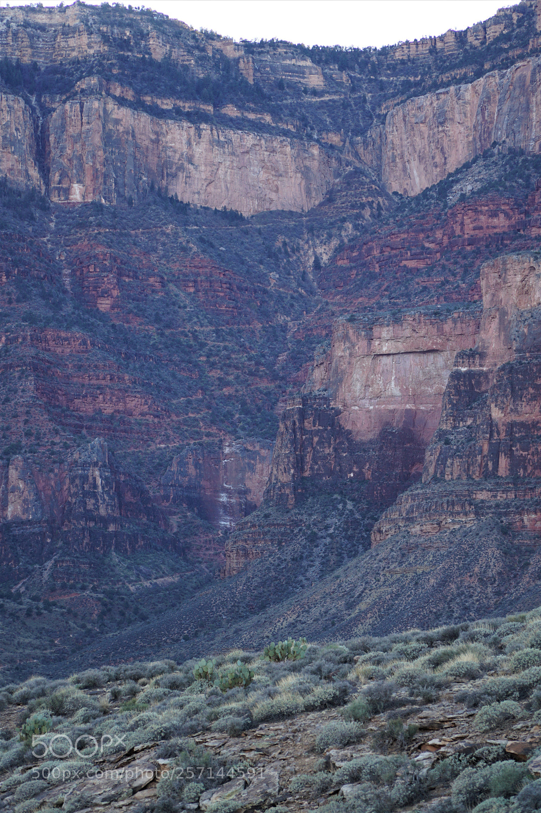Sony a6000 sample photo. Tracing the trail photography
