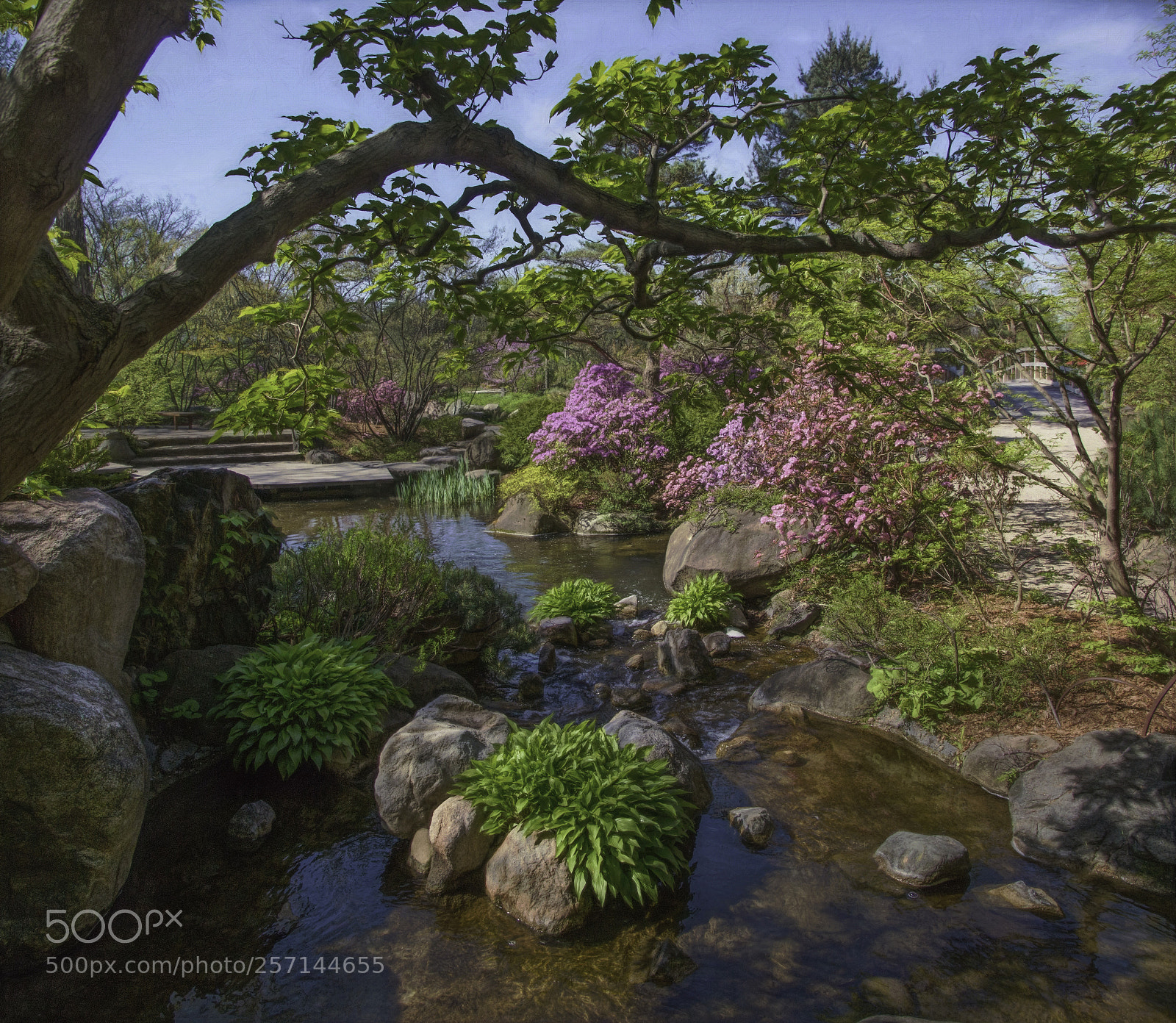 Canon EOS 70D sample photo. Breath of spring photography