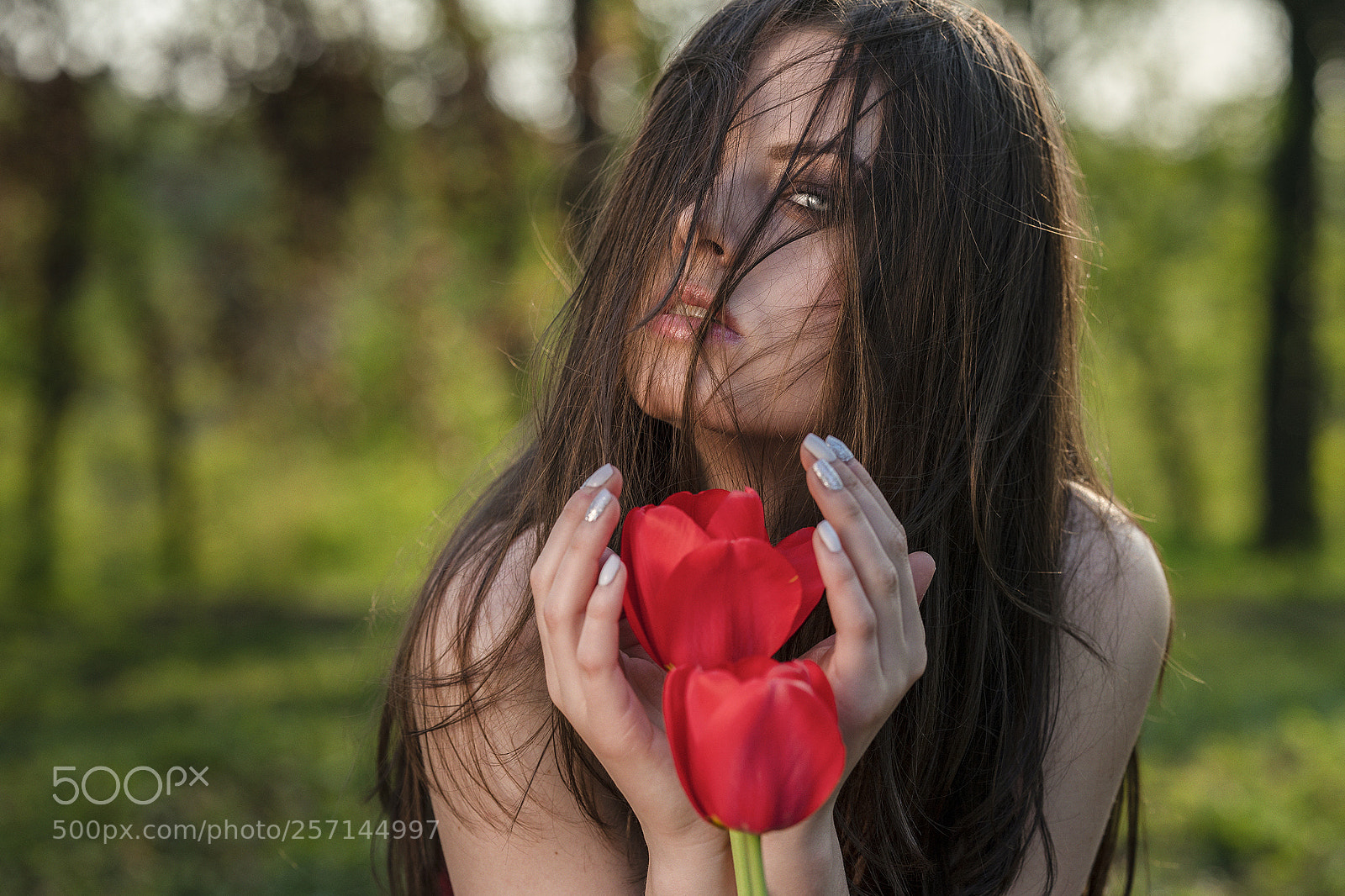 Sony a9 sample photo. Tulip photography