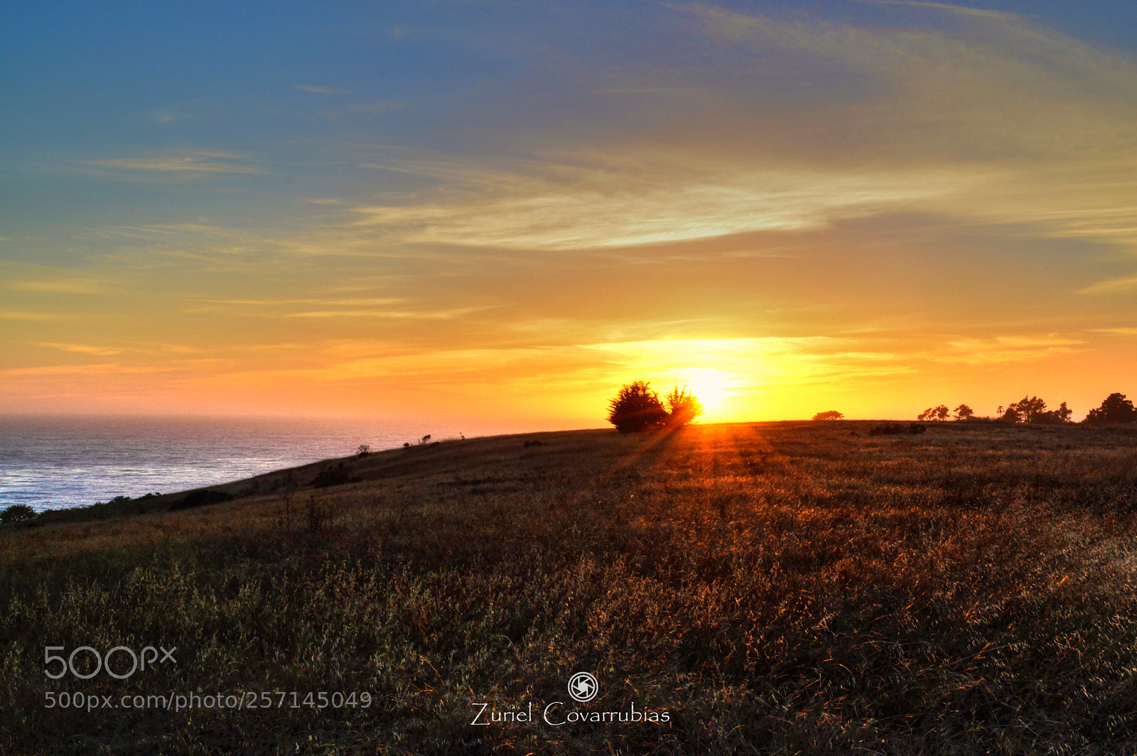 Nikon D3200 sample photo. California sunset photography