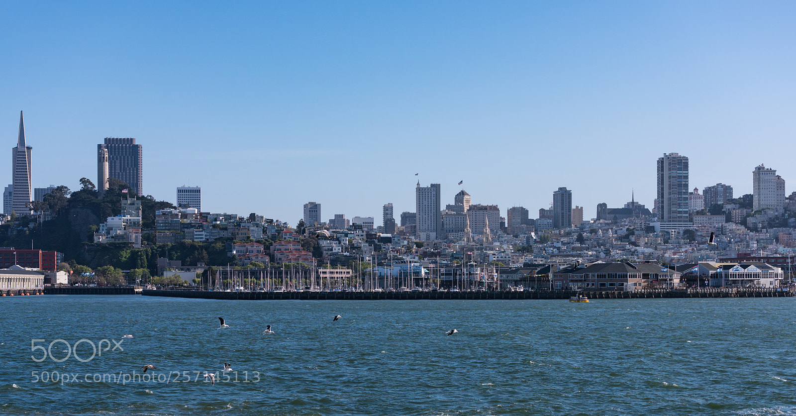 Nikon D810 sample photo. San francisco photography