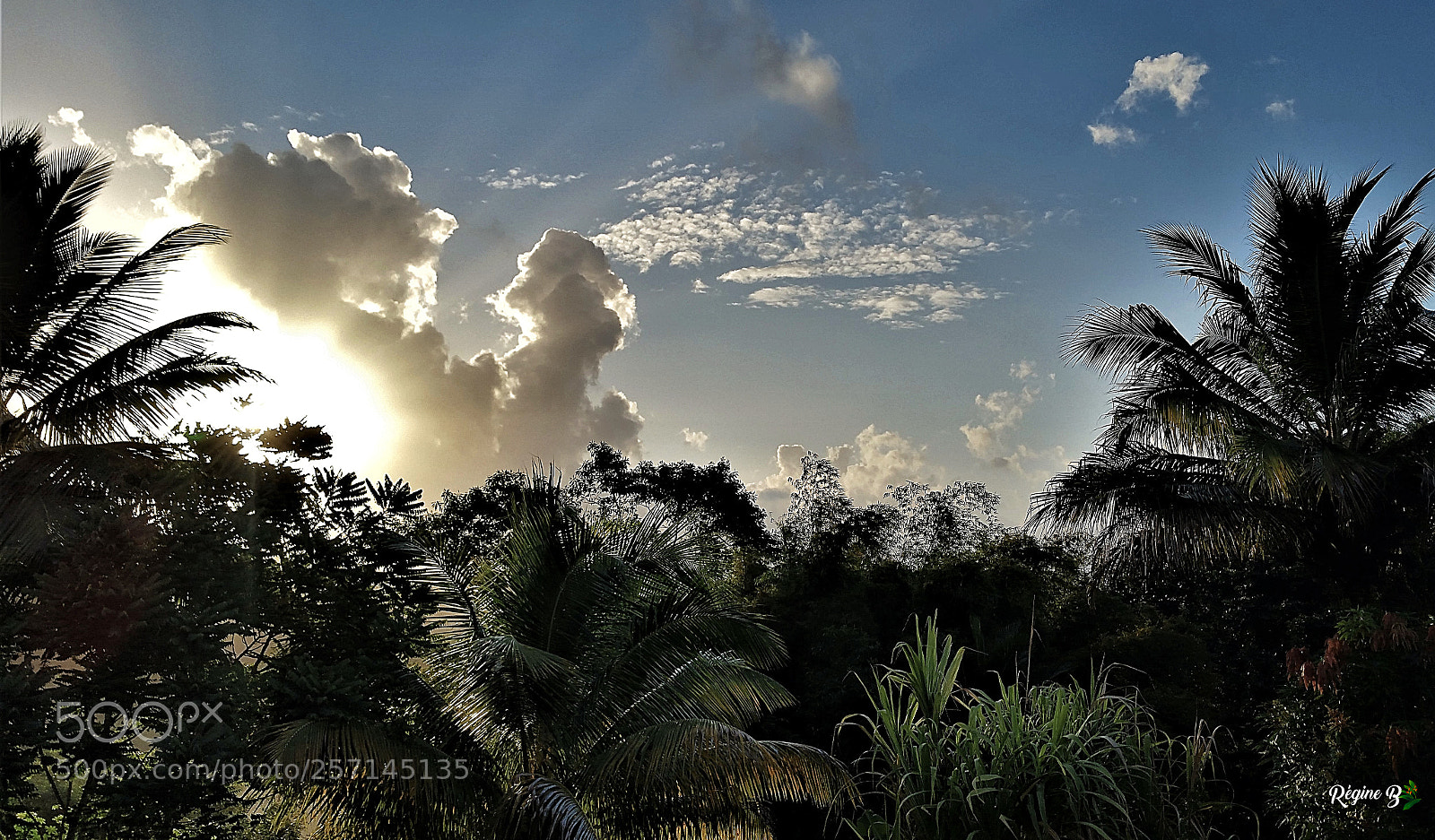 Samsung Galaxy Note4 sample photo. A new morning photography
