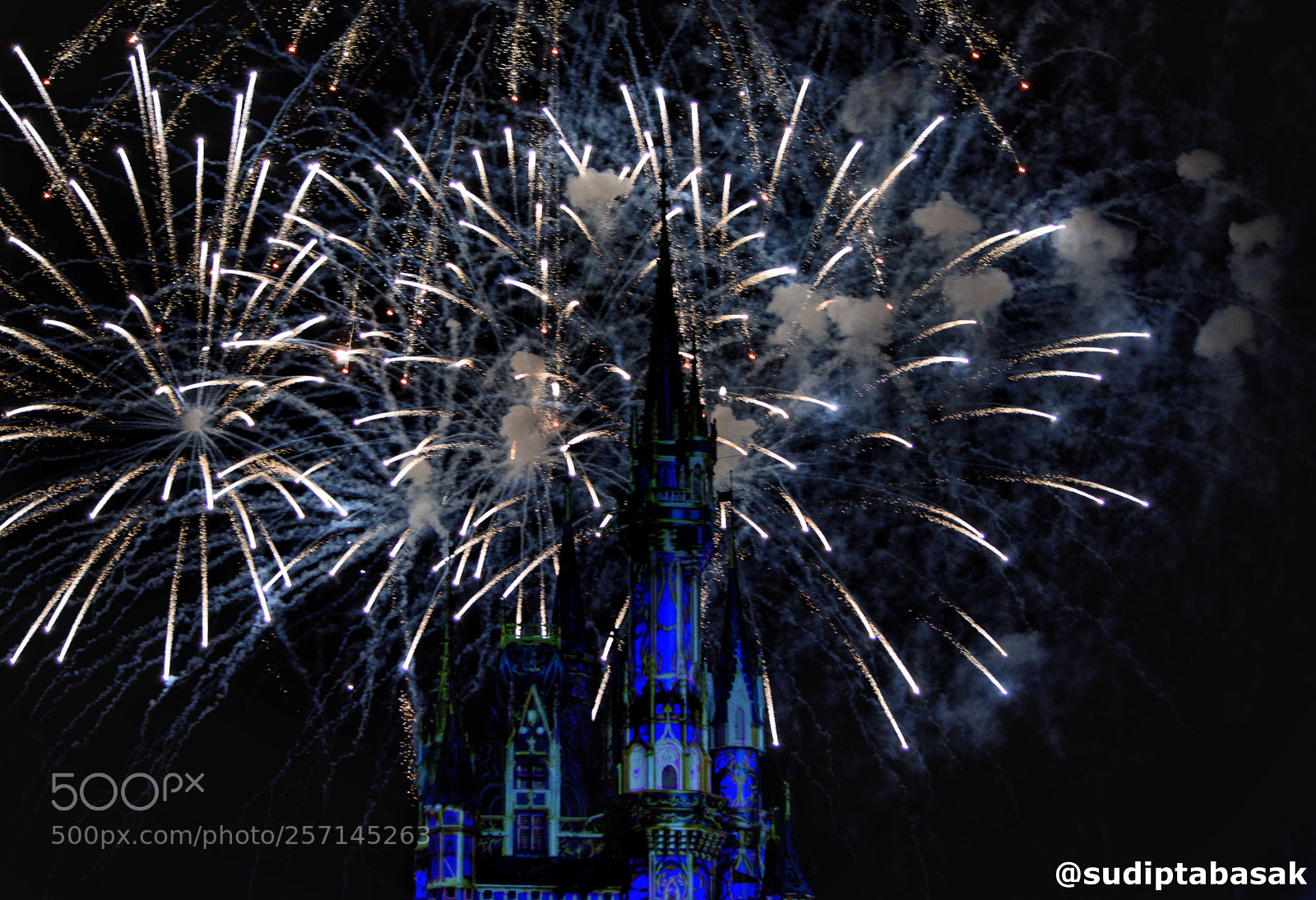 Nikon D7200 sample photo. Happily ever after photography