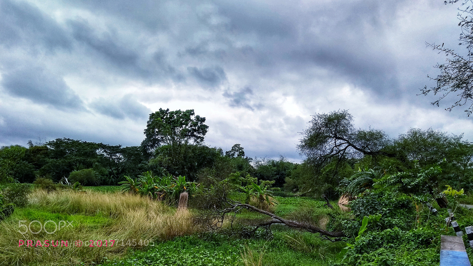 Motorola Moto G (5S) Plus sample photo. Untitled photography