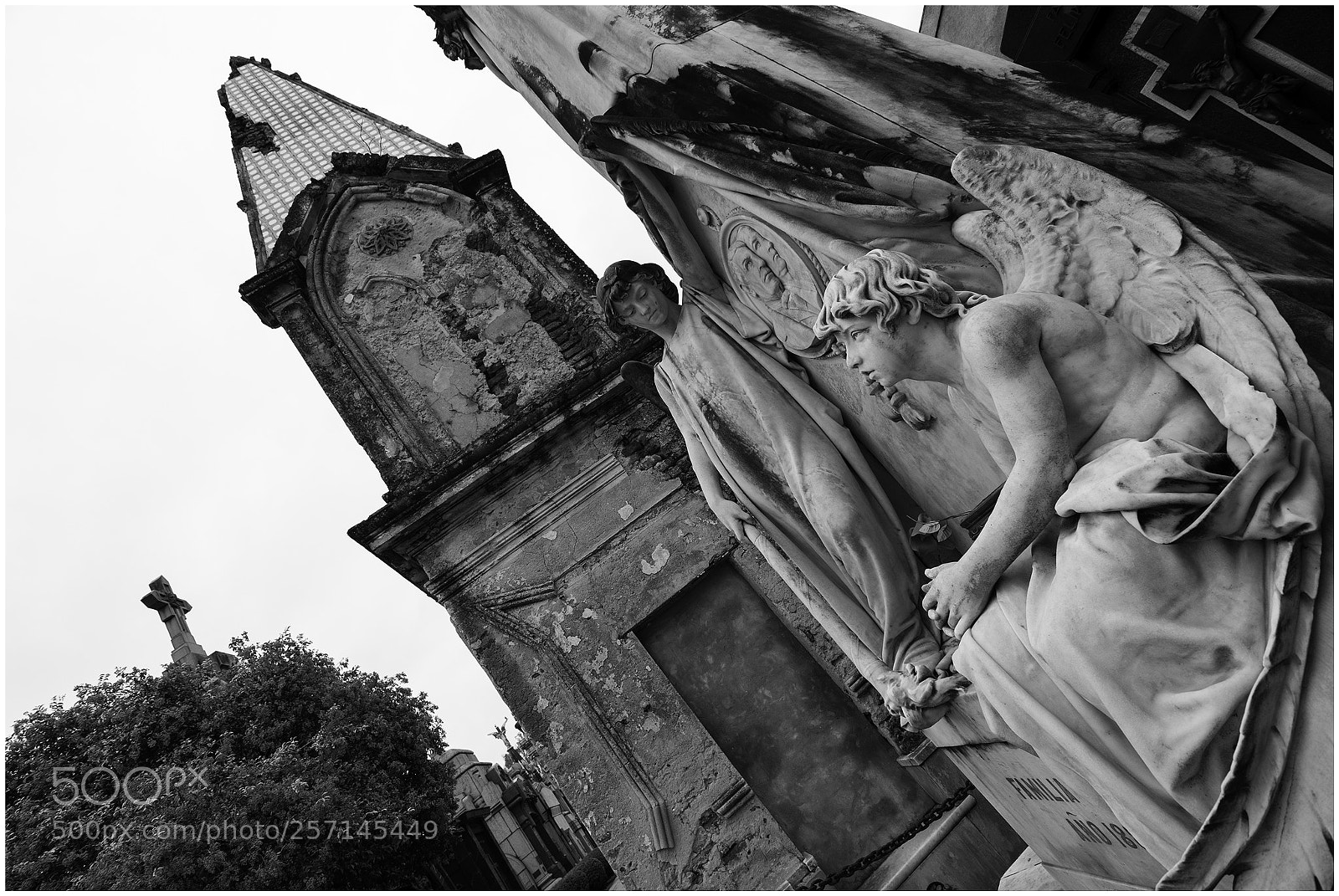 Nikon D7200 sample photo. Cementerio el salvador photography