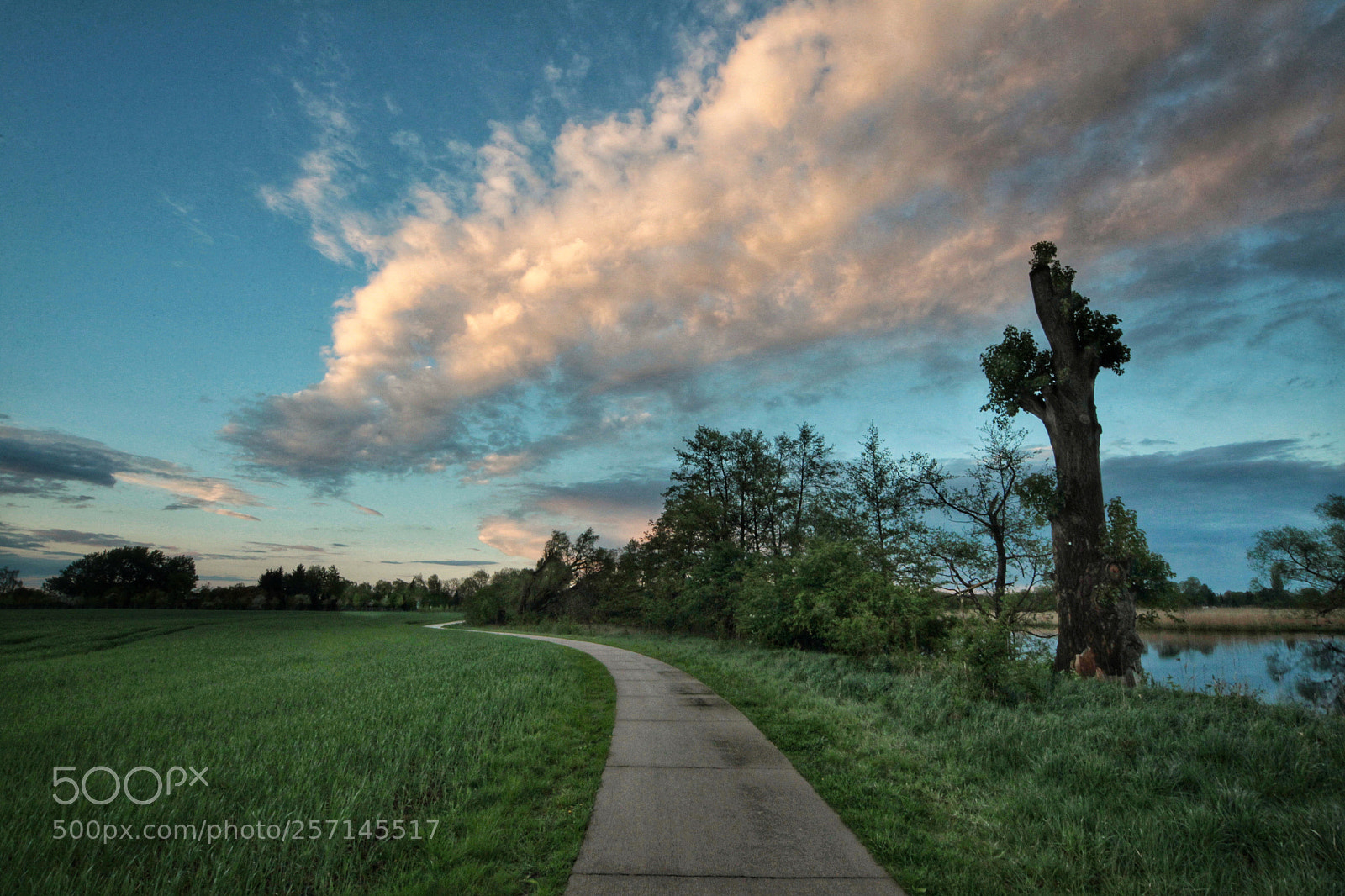 Canon EOS-1D Mark IV sample photo. Untitled photography