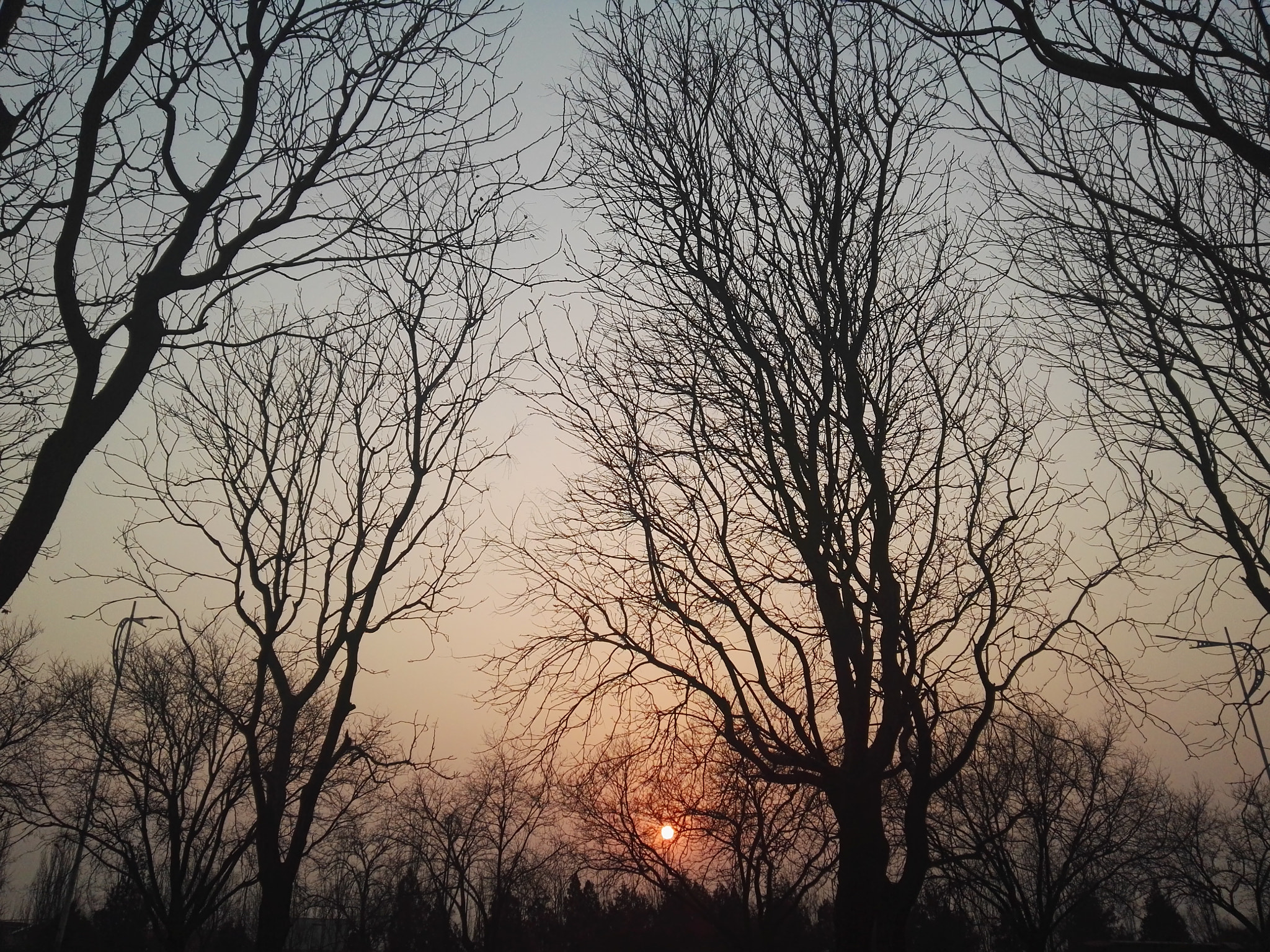 HUAWEI P8 sample photo. Dav photography