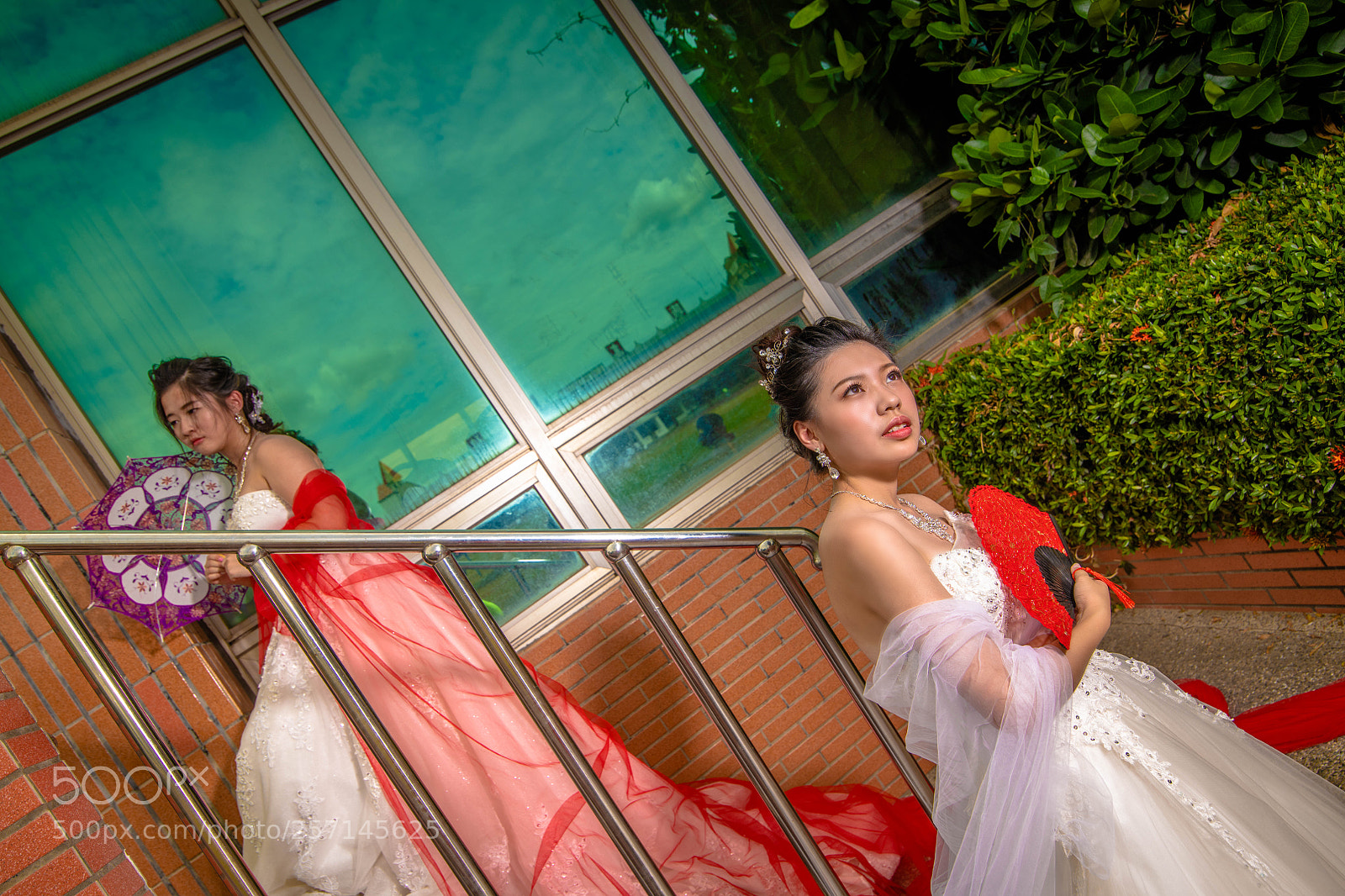 Nikon D850 sample photo. Dsc photography