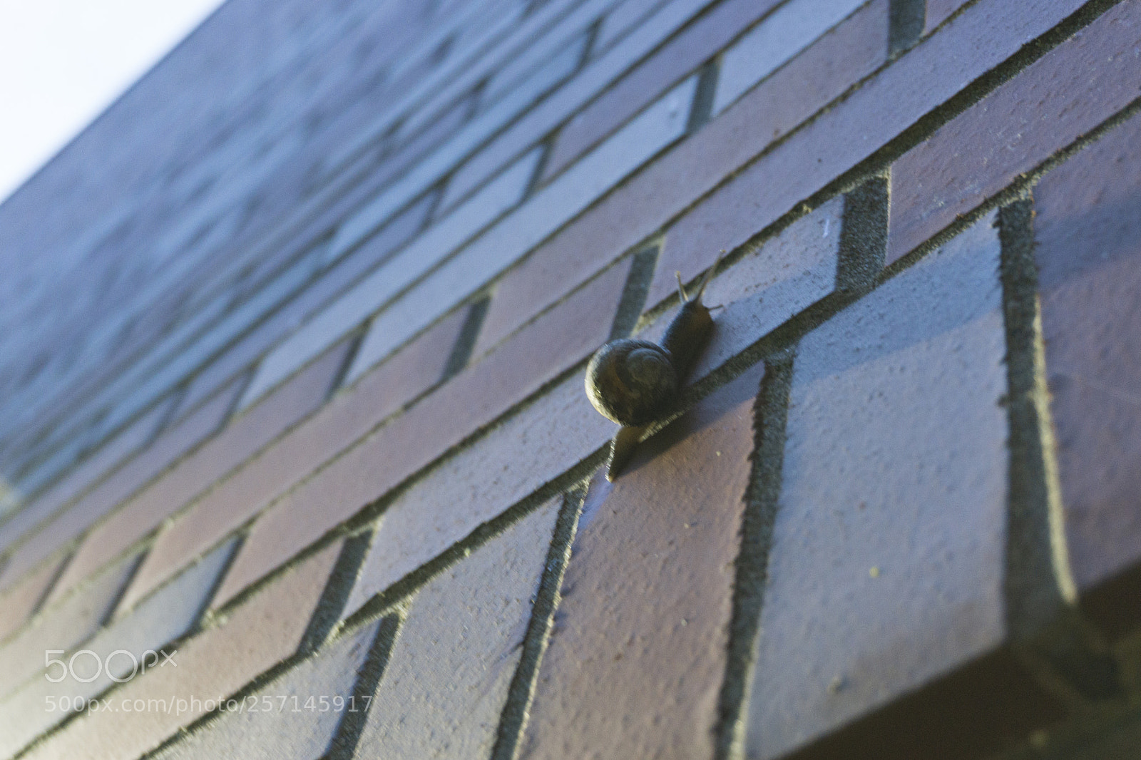 Sony a6000 sample photo. Snail trail photography
