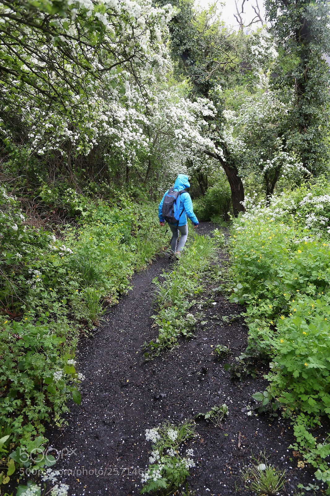 Canon EOS 6D sample photo. Spoil tip descent  photography