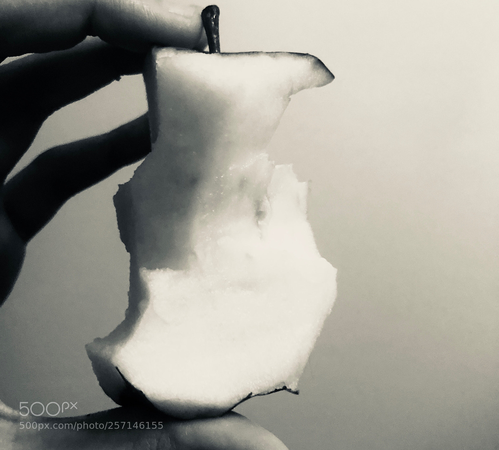 Apple iPhone 8 Plus sample photo. ? photography