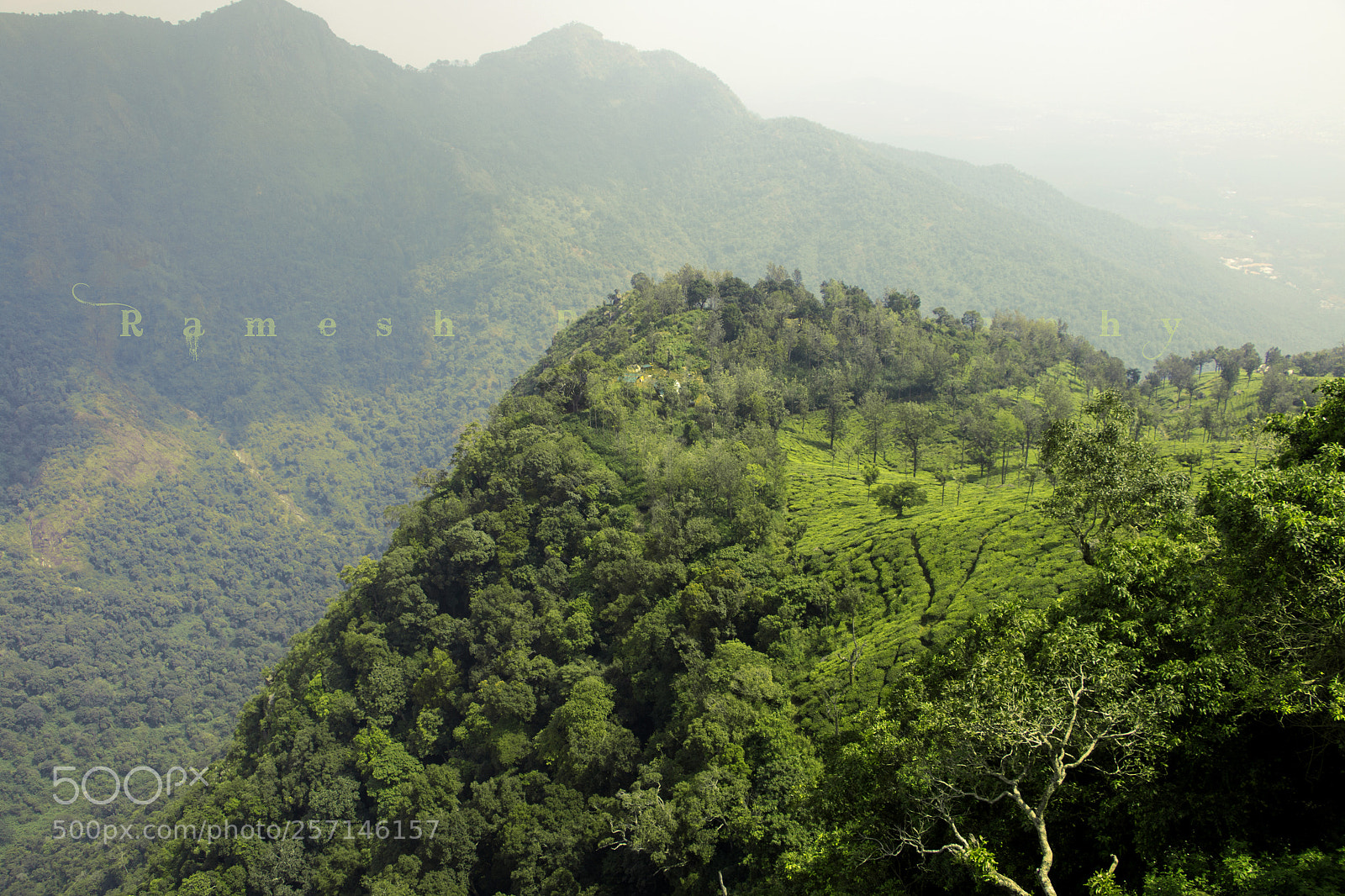 Canon EOS 70D sample photo. Nature photography