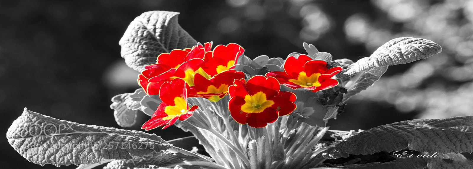 Nikon D7100 sample photo. Untitled photography