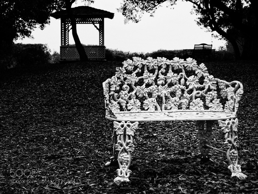 Nikon D200 sample photo. The silent seat photography
