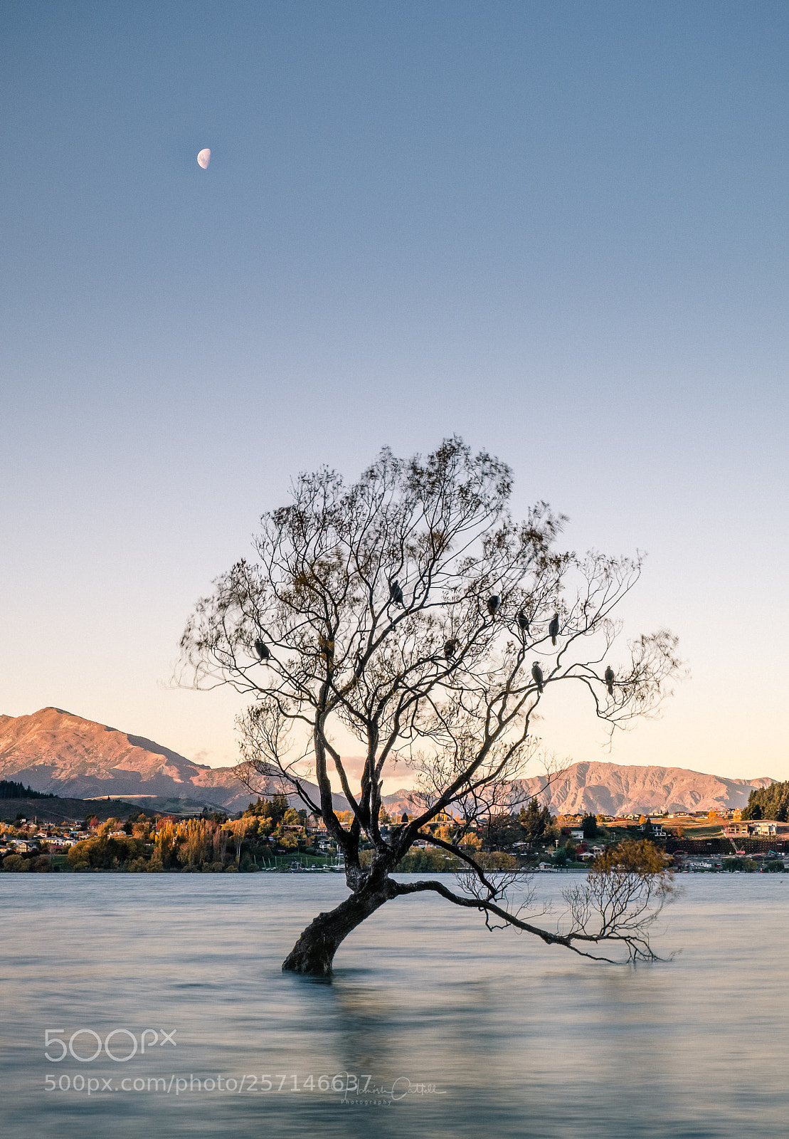 Fujifilm X-T2 sample photo. Wanaka moon photography