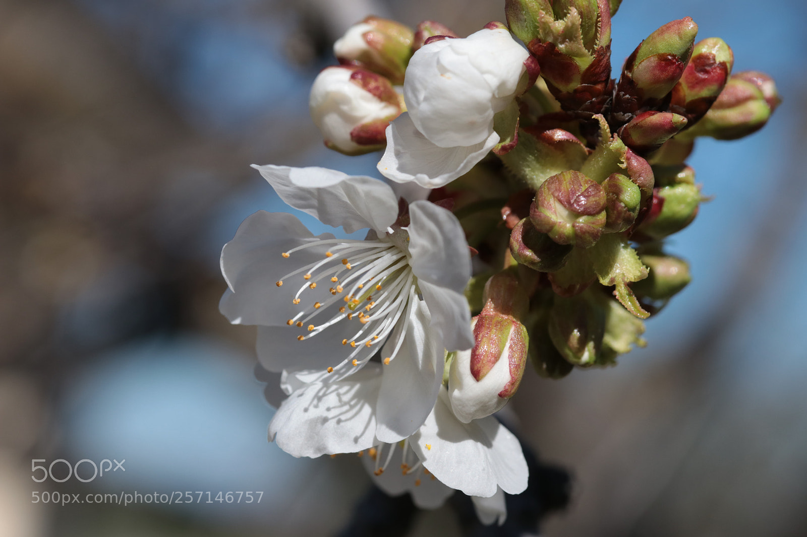 Canon EOS 80D sample photo. Life photography