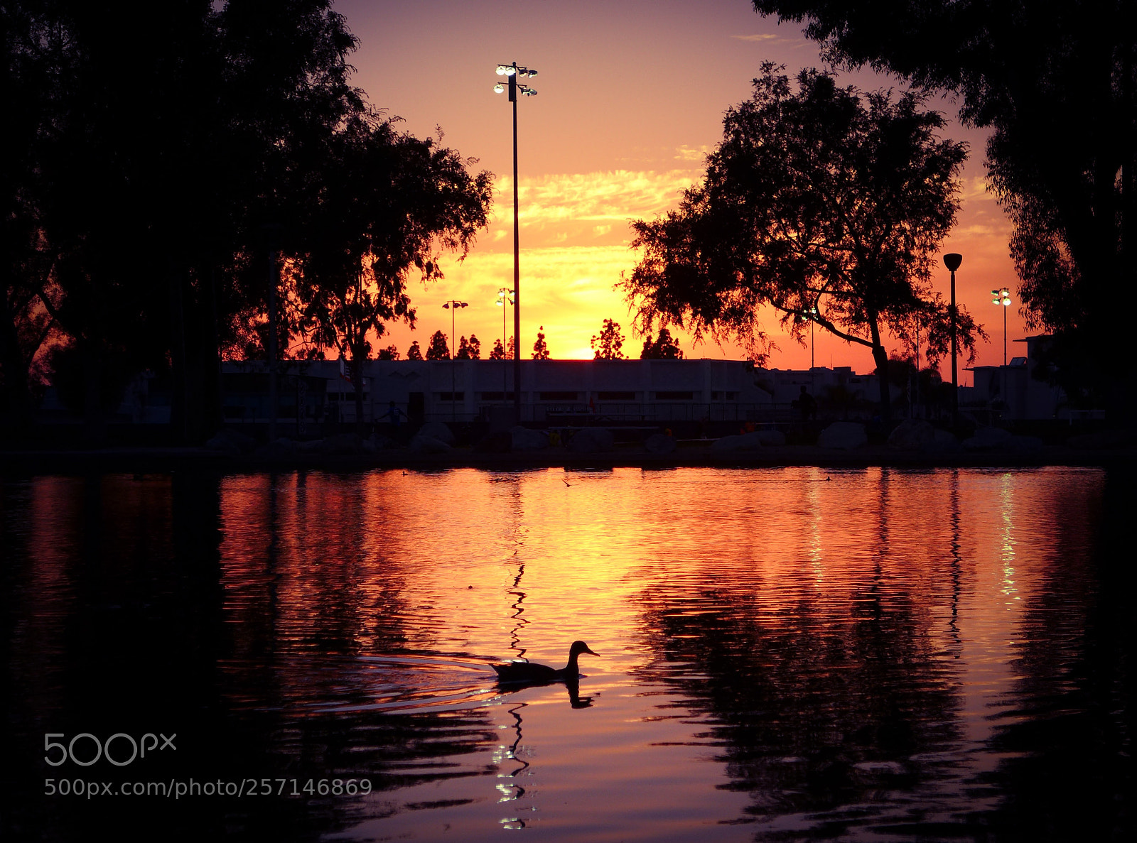 Panasonic Lumix DMC-LX7 sample photo. Golden pond photography