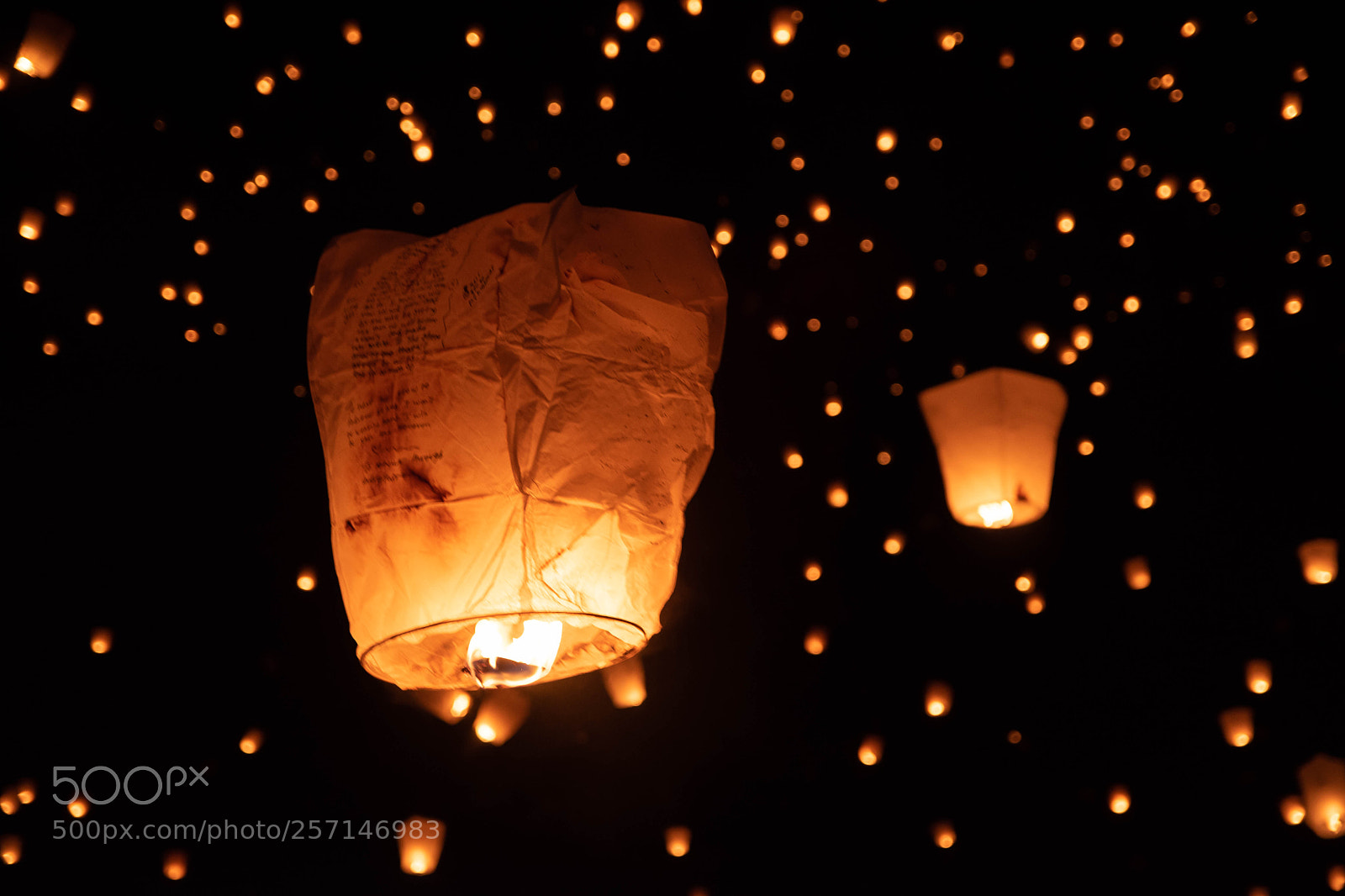 Nikon D5500 sample photo. The lights fest.lantern photography