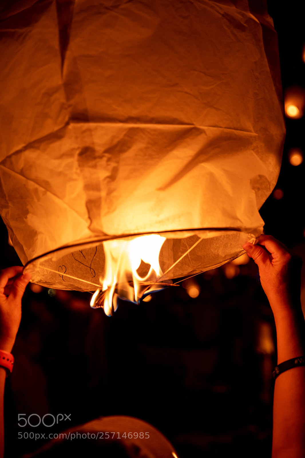 Nikon D5500 sample photo. The lights fest.fire photography