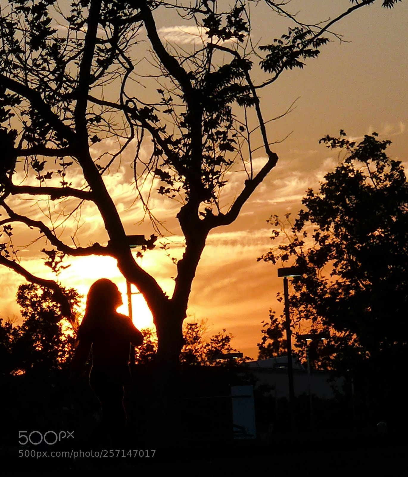 Panasonic Lumix DMC-LX7 sample photo. Dream photography