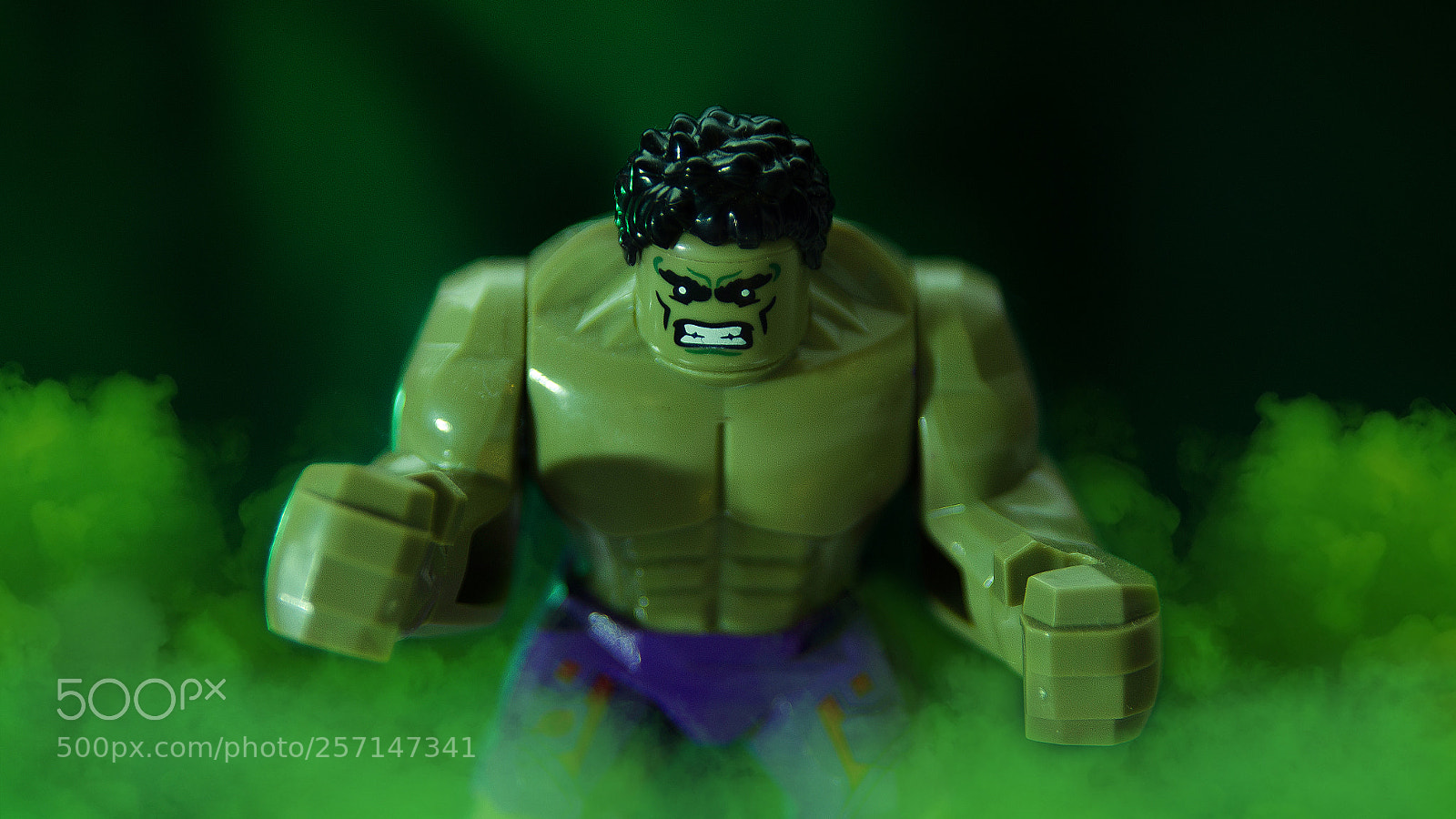 Nikon D7000 sample photo. Untitled photography