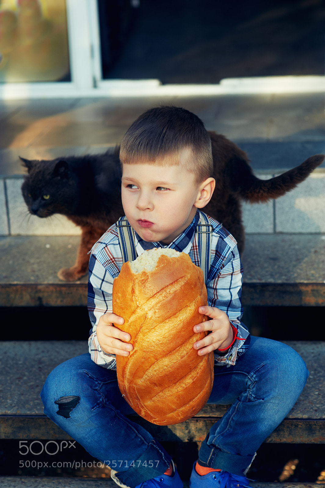 Nikon D700 sample photo. The little boy with photography