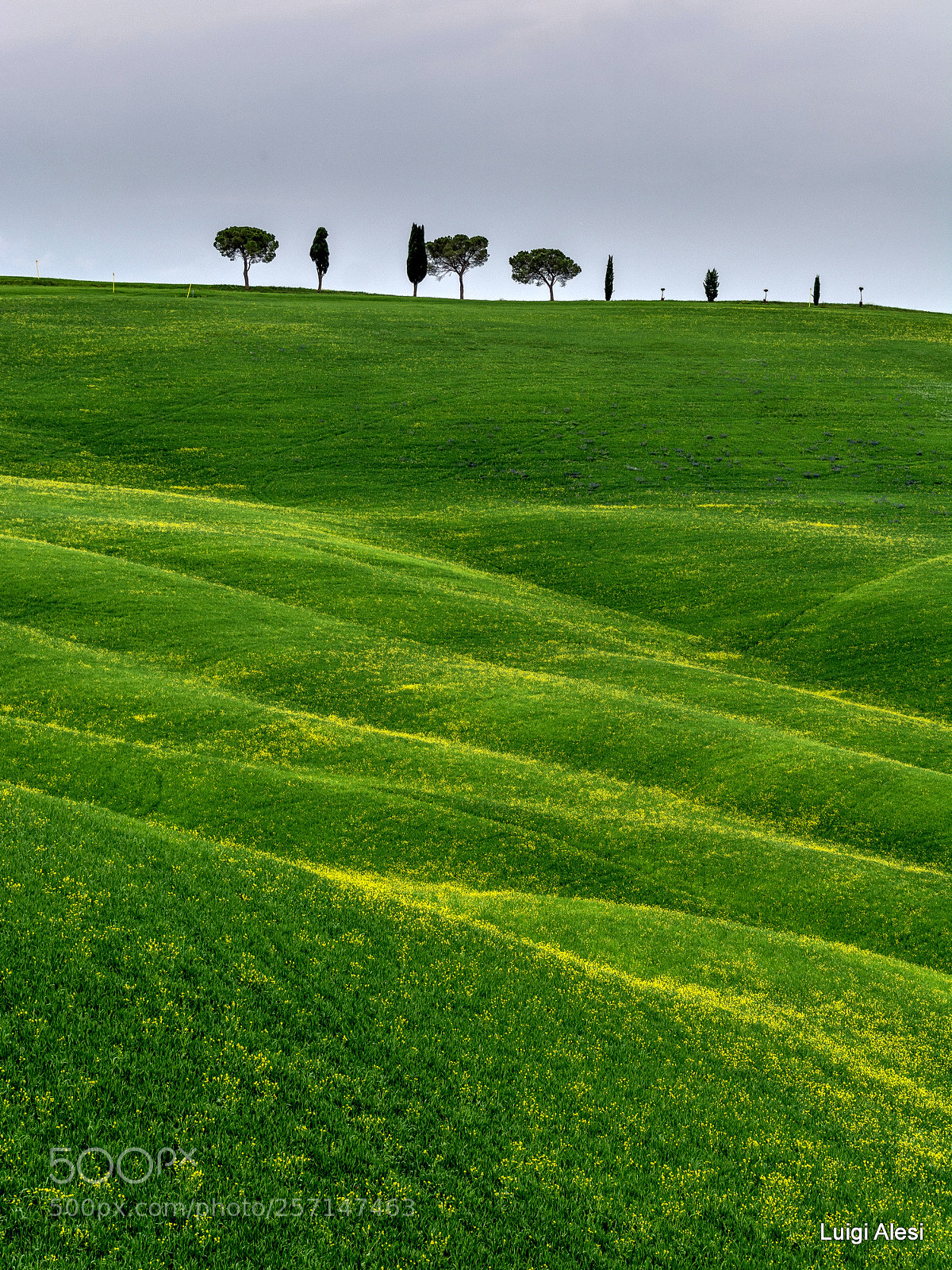 Nikon D7100 sample photo. Val d'orcia photography