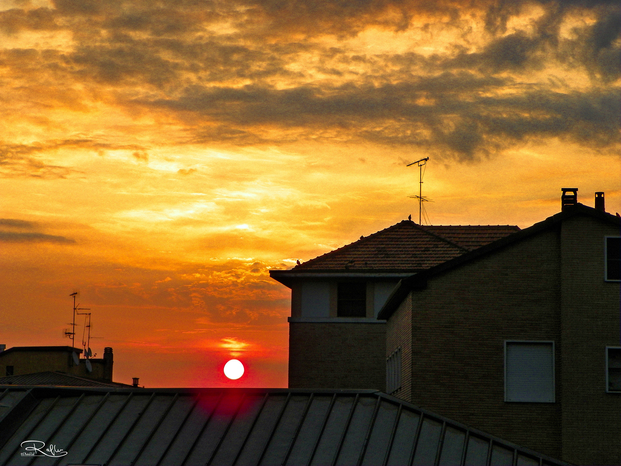 Kodak EasyShare Z981 sample photo. Good morning  photography