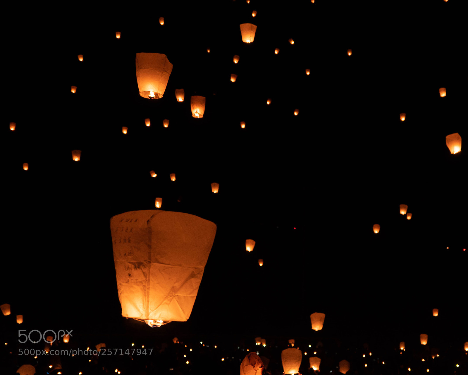 Nikon D5500 sample photo. The lights fest.launch photography