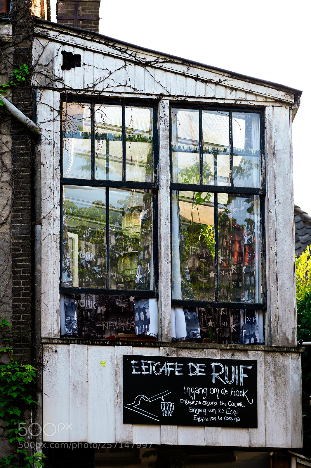 Nikon D4 sample photo. Outside view photography