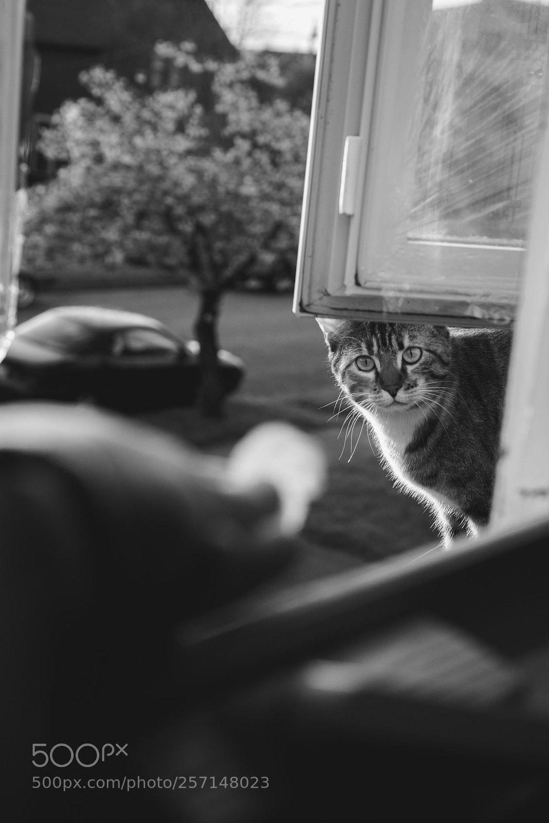 Sony a6300 sample photo. Curious? photography