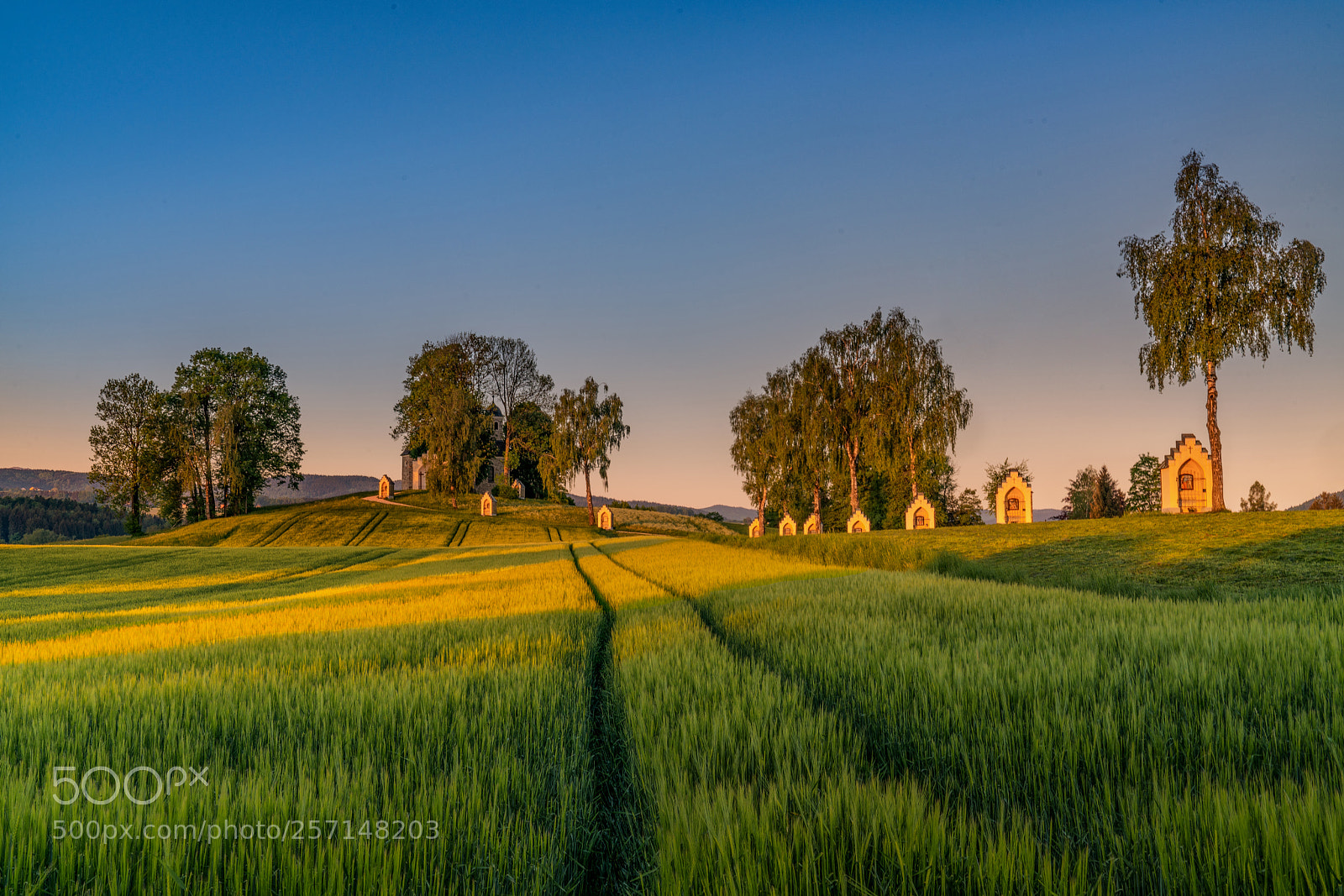 Sony a7R II sample photo. Erstes licht photography