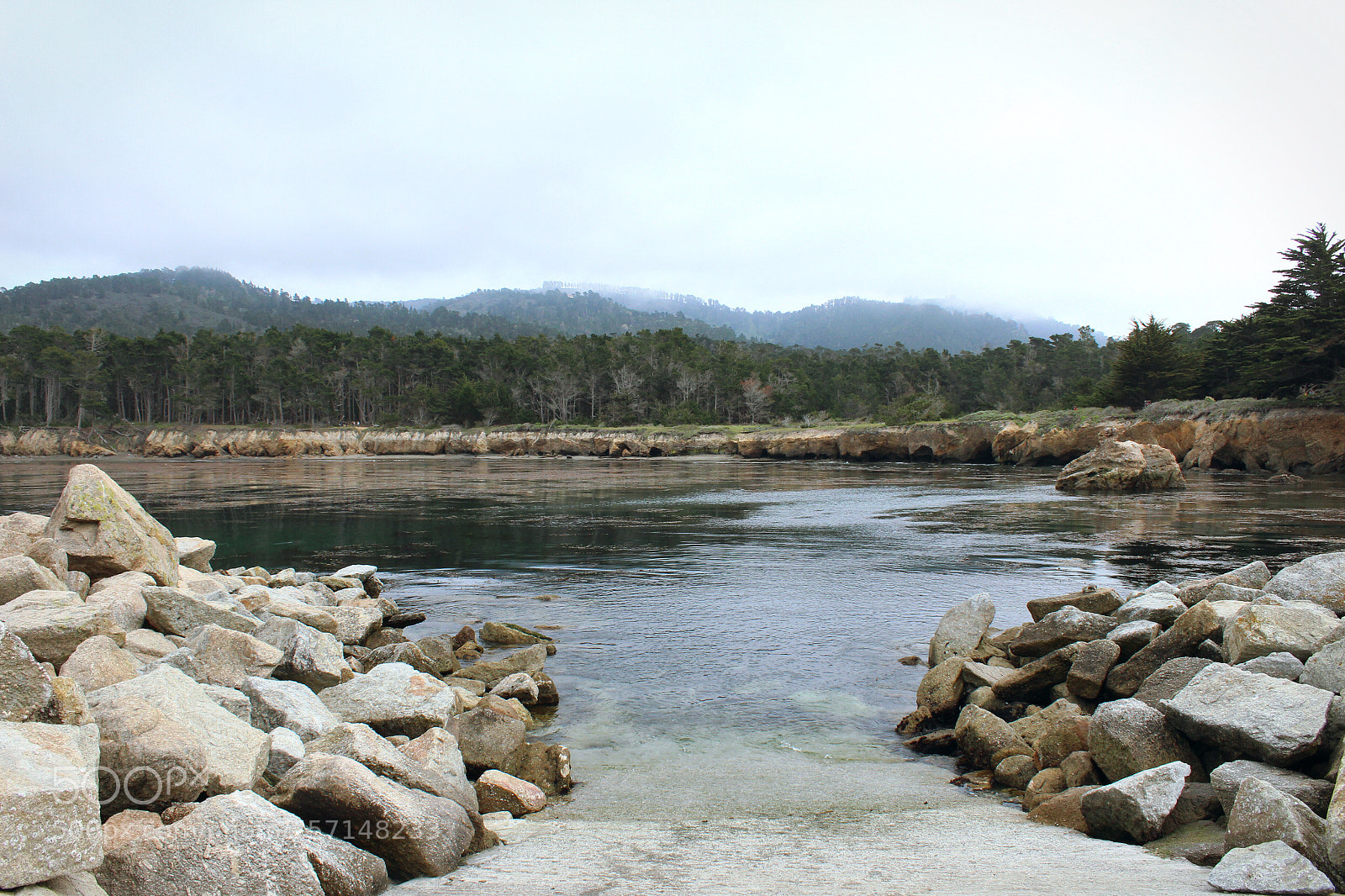 Canon EOS 1200D (EOS Rebel T5 / EOS Kiss X70 / EOS Hi) sample photo. Time for a swim  photography