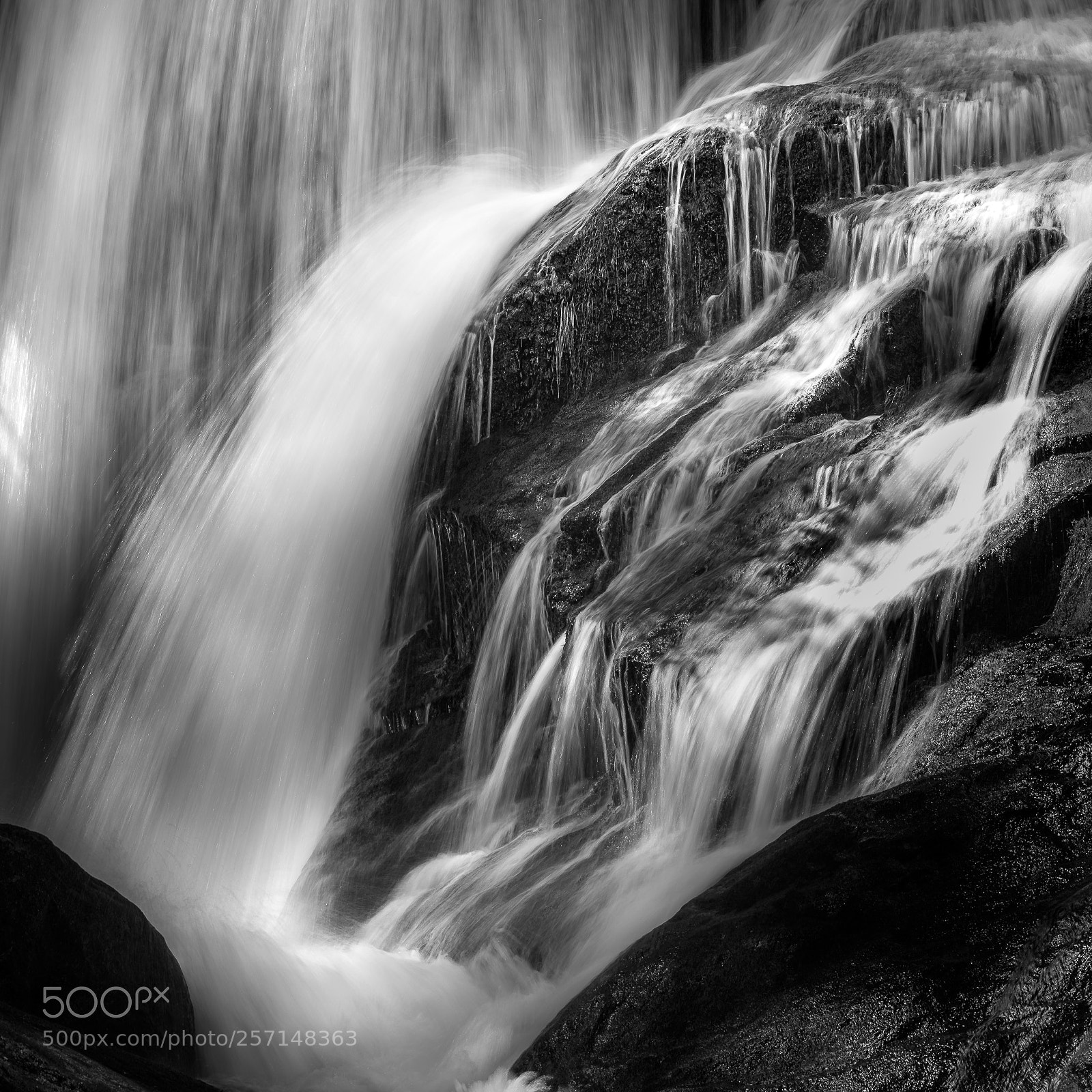 Nikon D810 sample photo. Silver stream ii photography