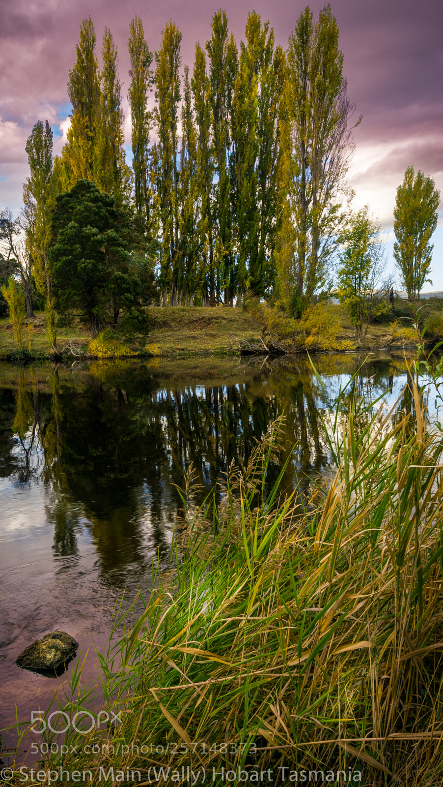 Sony a7R II sample photo. Derwent valley reflections photography