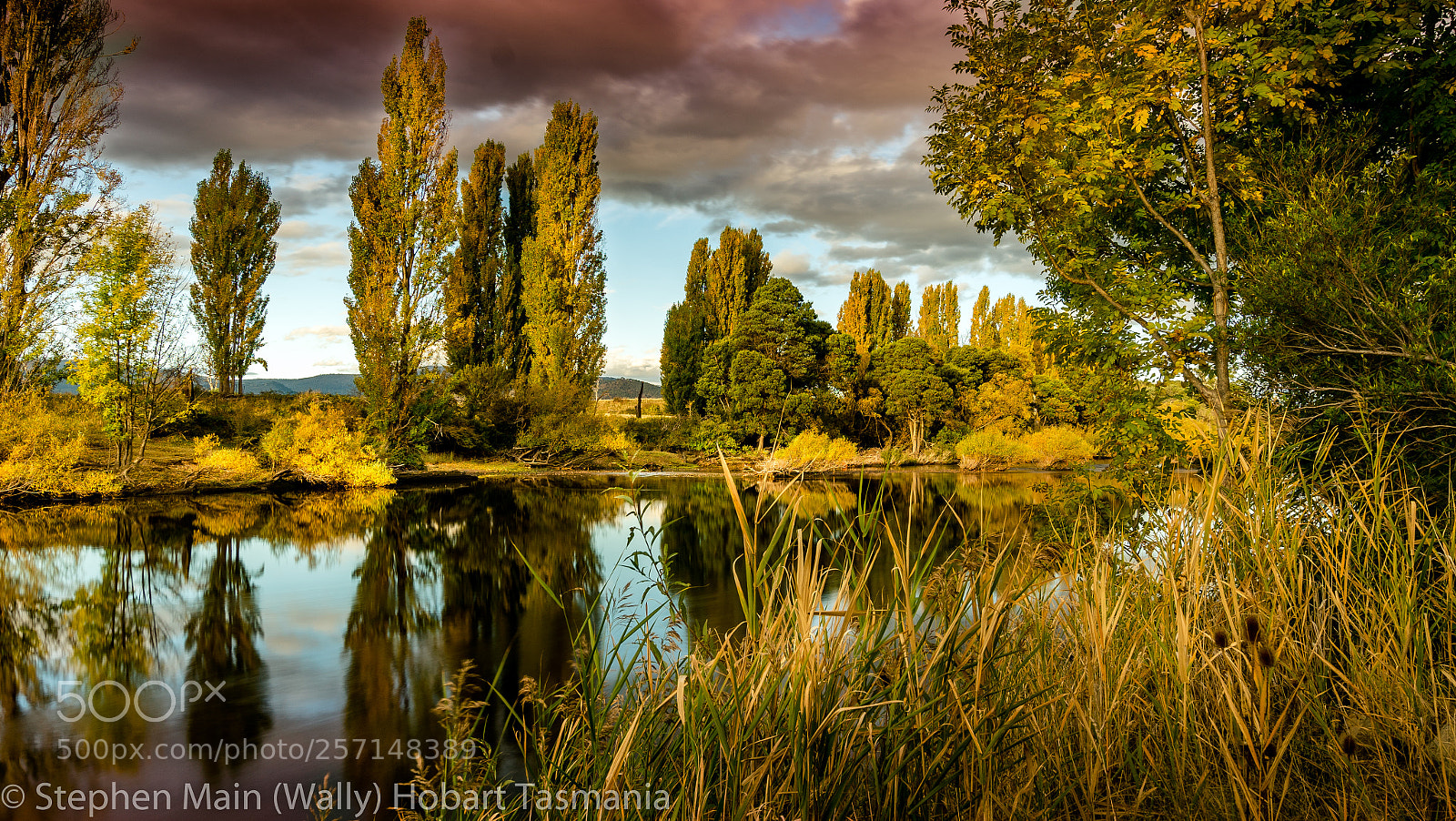 Sony a7R II sample photo. Derwent valley reflections photography