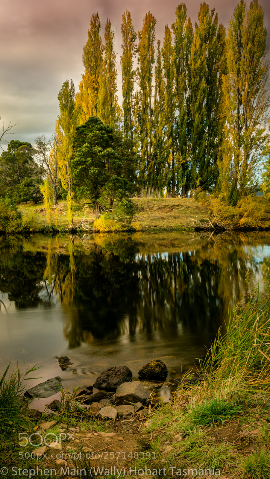 Sony a7R II sample photo. Derwent valley reflections photography