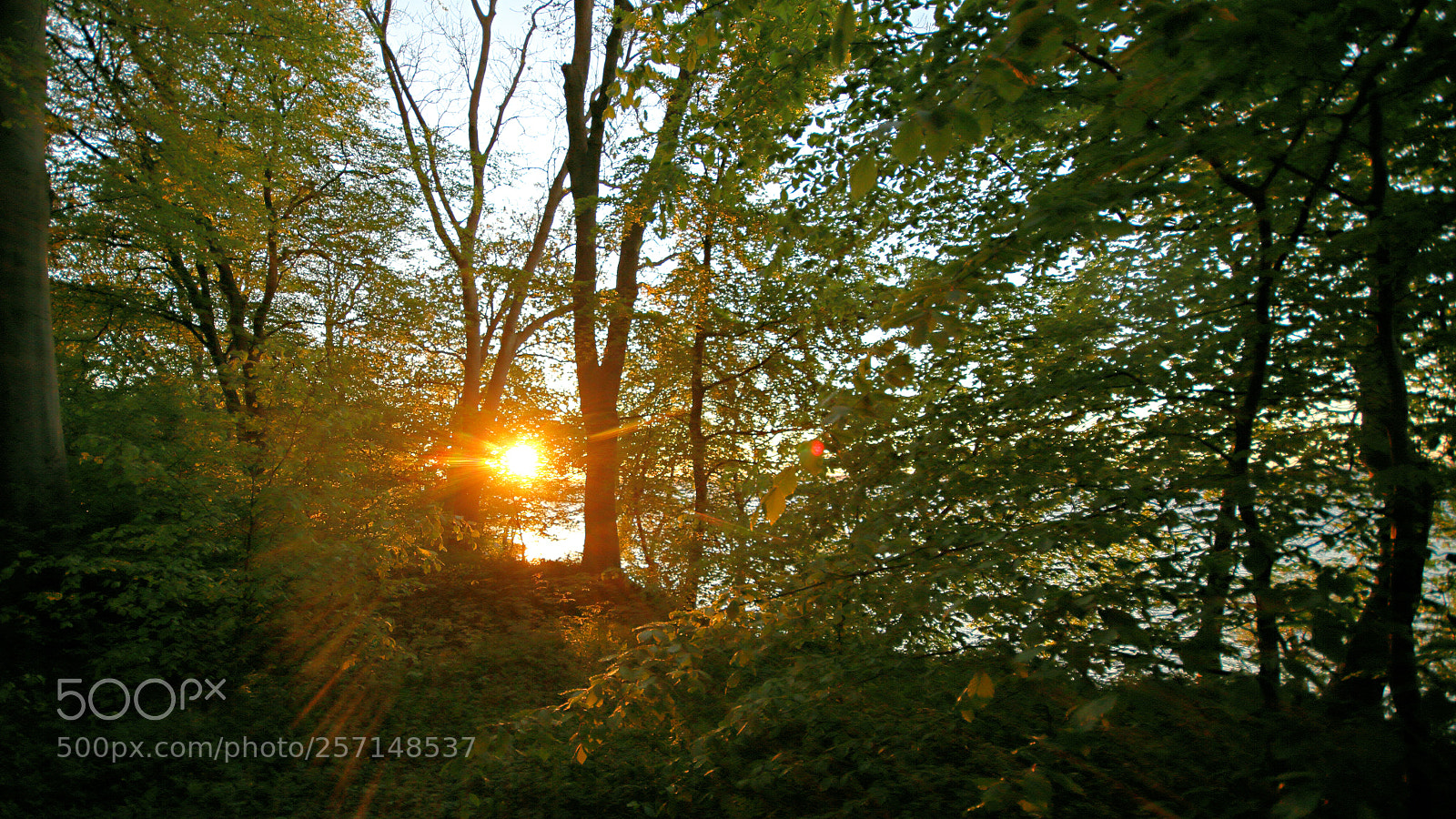 Canon EOS 7D sample photo. Yesterday photography