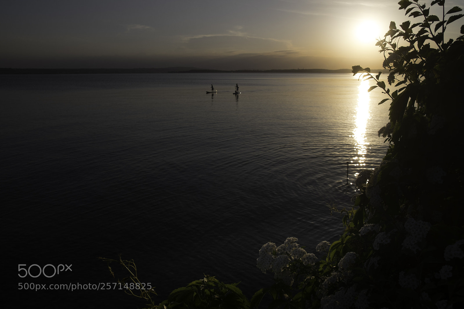 Fujifilm X-T1 sample photo. Zwei stand up paddler photography