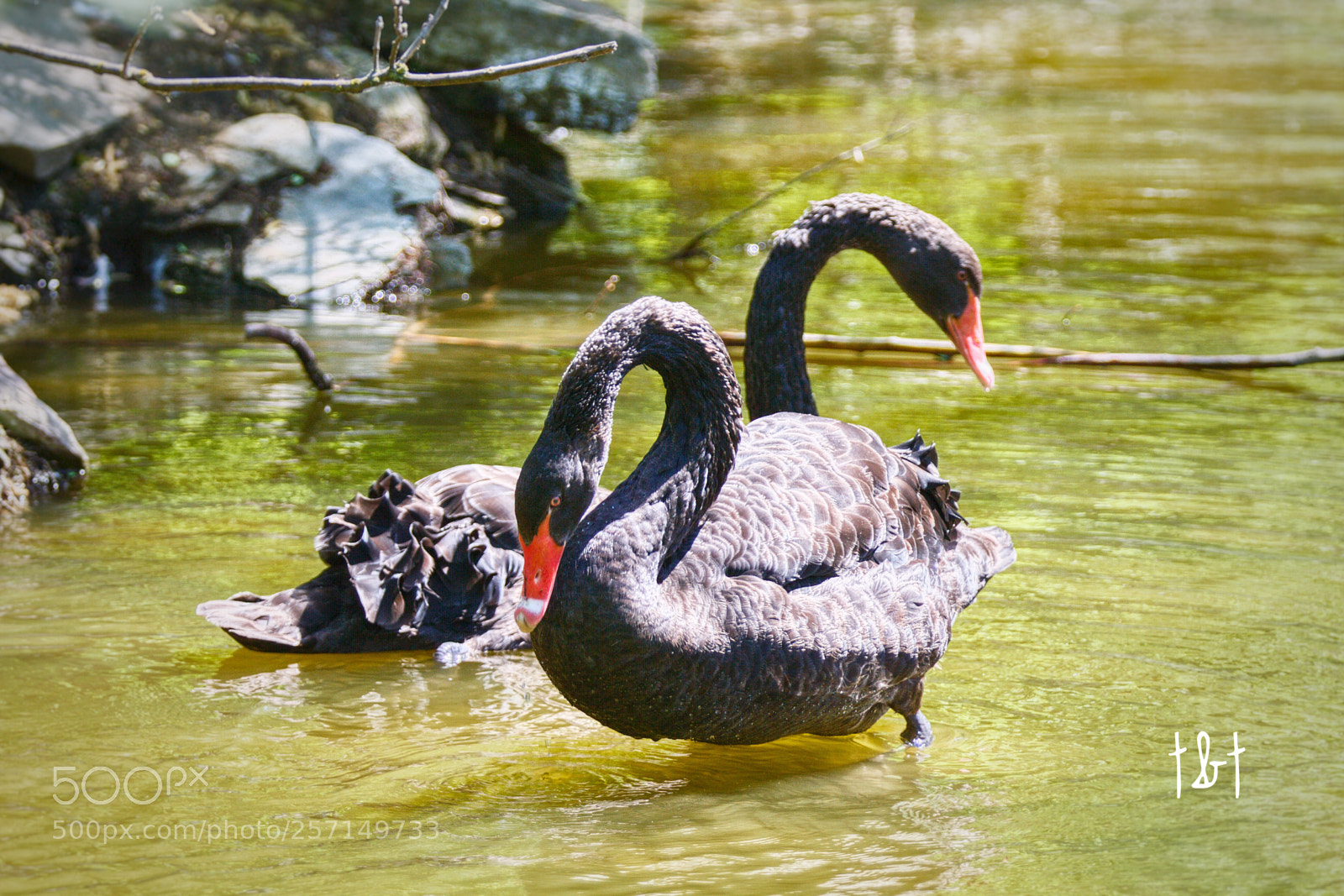 Canon EOS 7D sample photo. Untitled photography