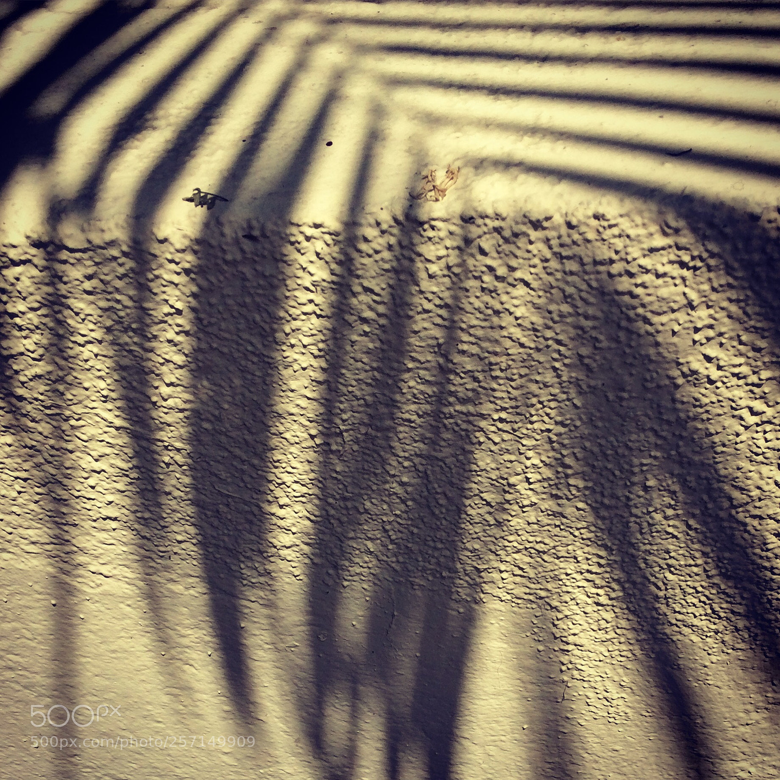 Apple iPhone 5s sample photo.  shadow bending photography