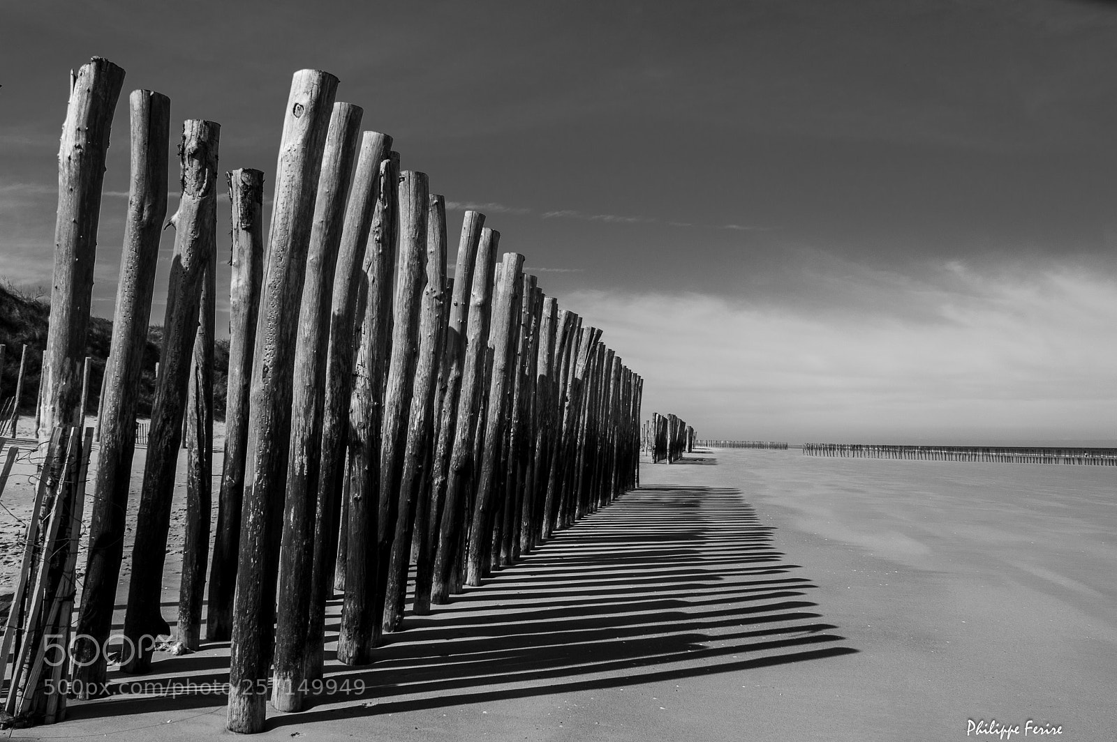 Nikon D3200 sample photo. Les gardiens de la photography